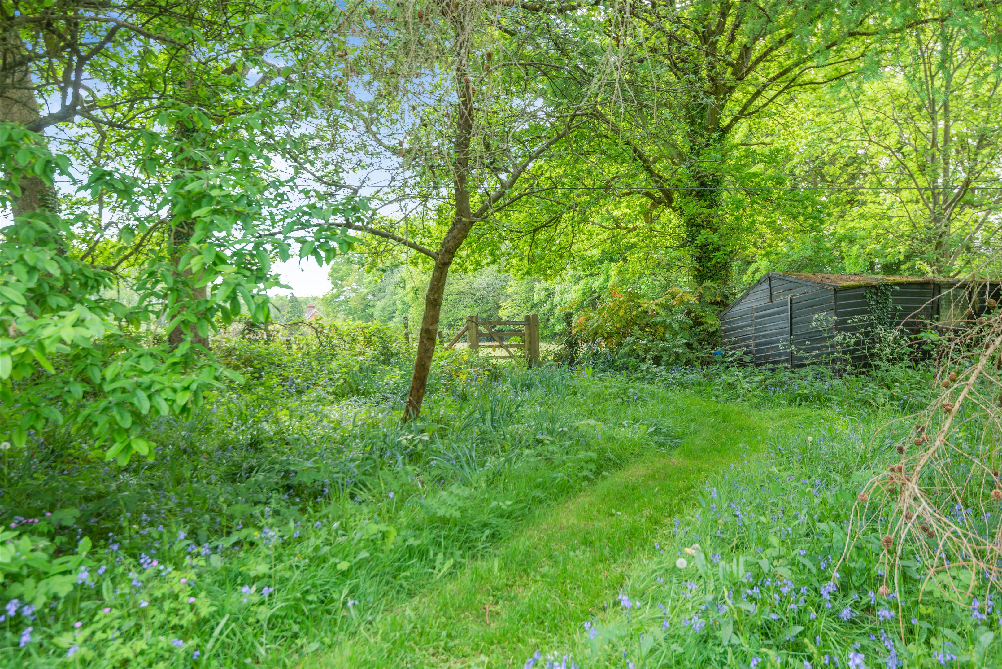 Franksfield, Peaslake, Guildford, Surrey, GU5