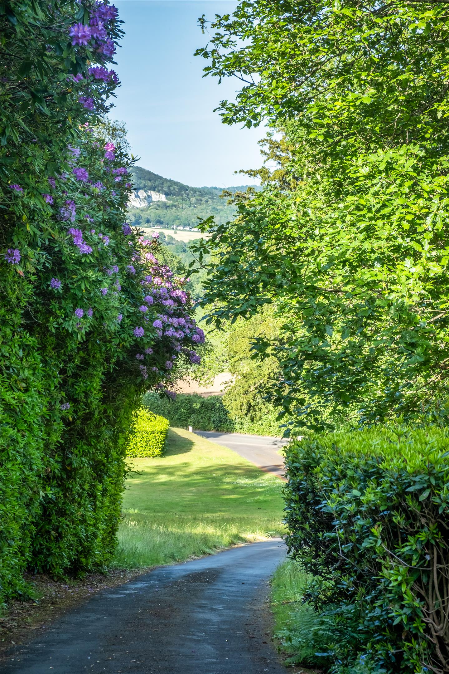 Punchbowl Lane, Dorking, Surrey RH5