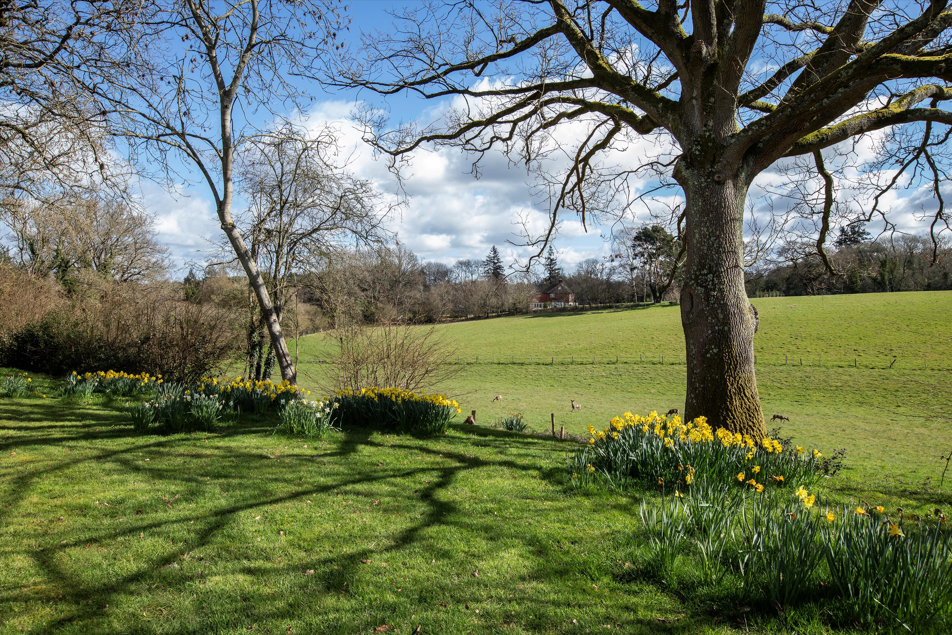 Hale House Lane, Churt, Farnham, Surrey GU10