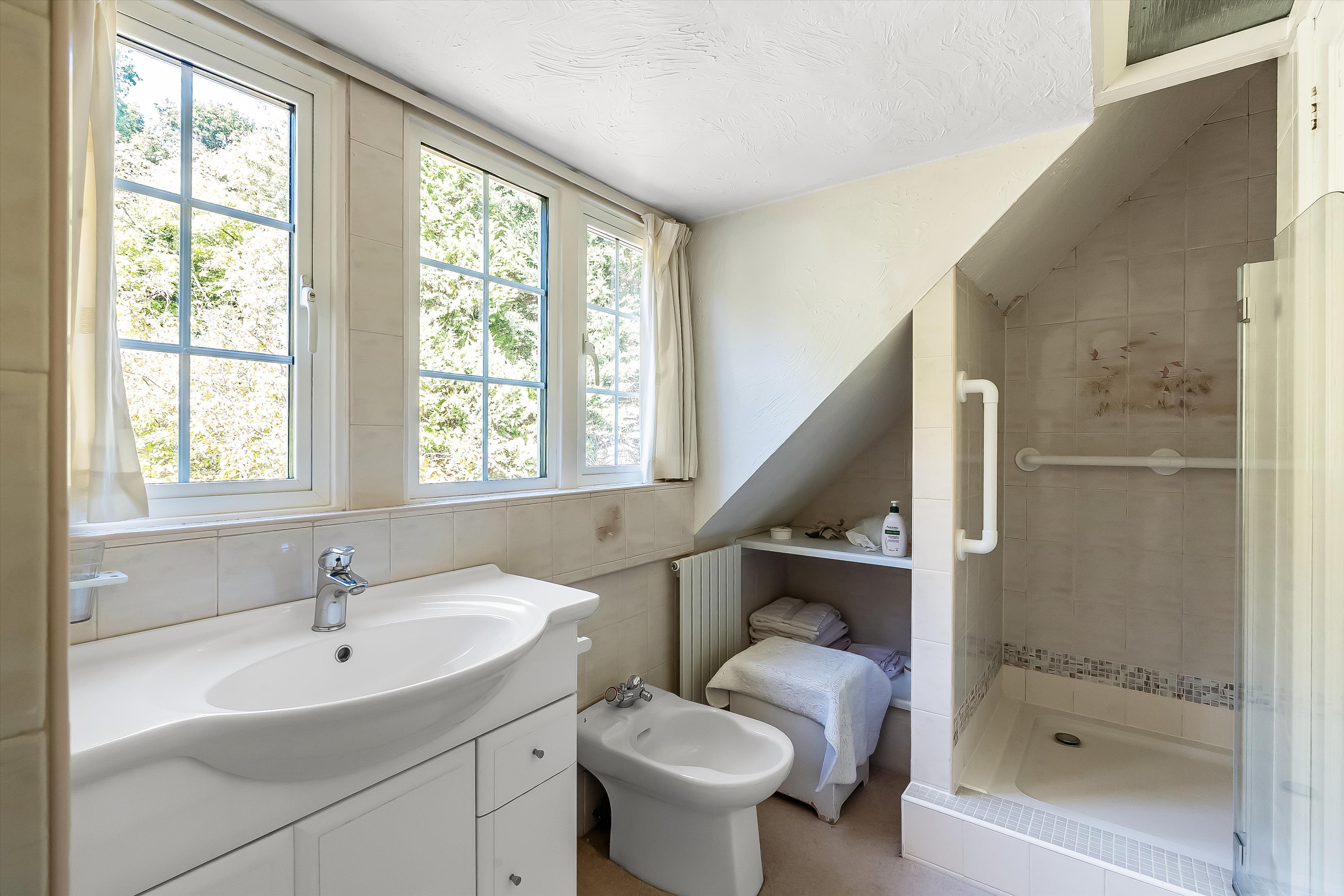 Snowdenham Lane, Bramley, Guildford, Surrey, GU5 0DB