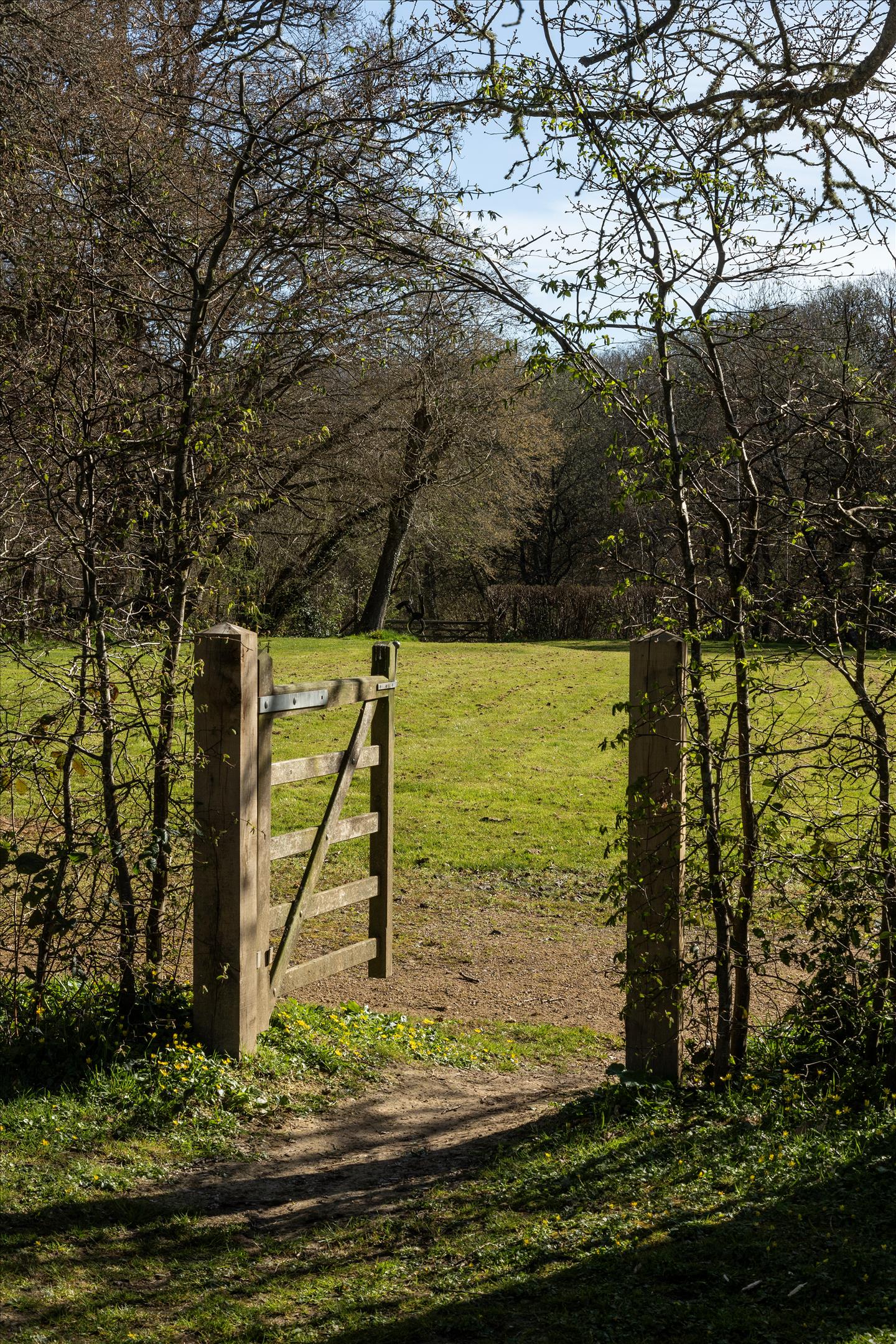 Knightons Lane, Dunsfold, Godalming, Surrey, GU8