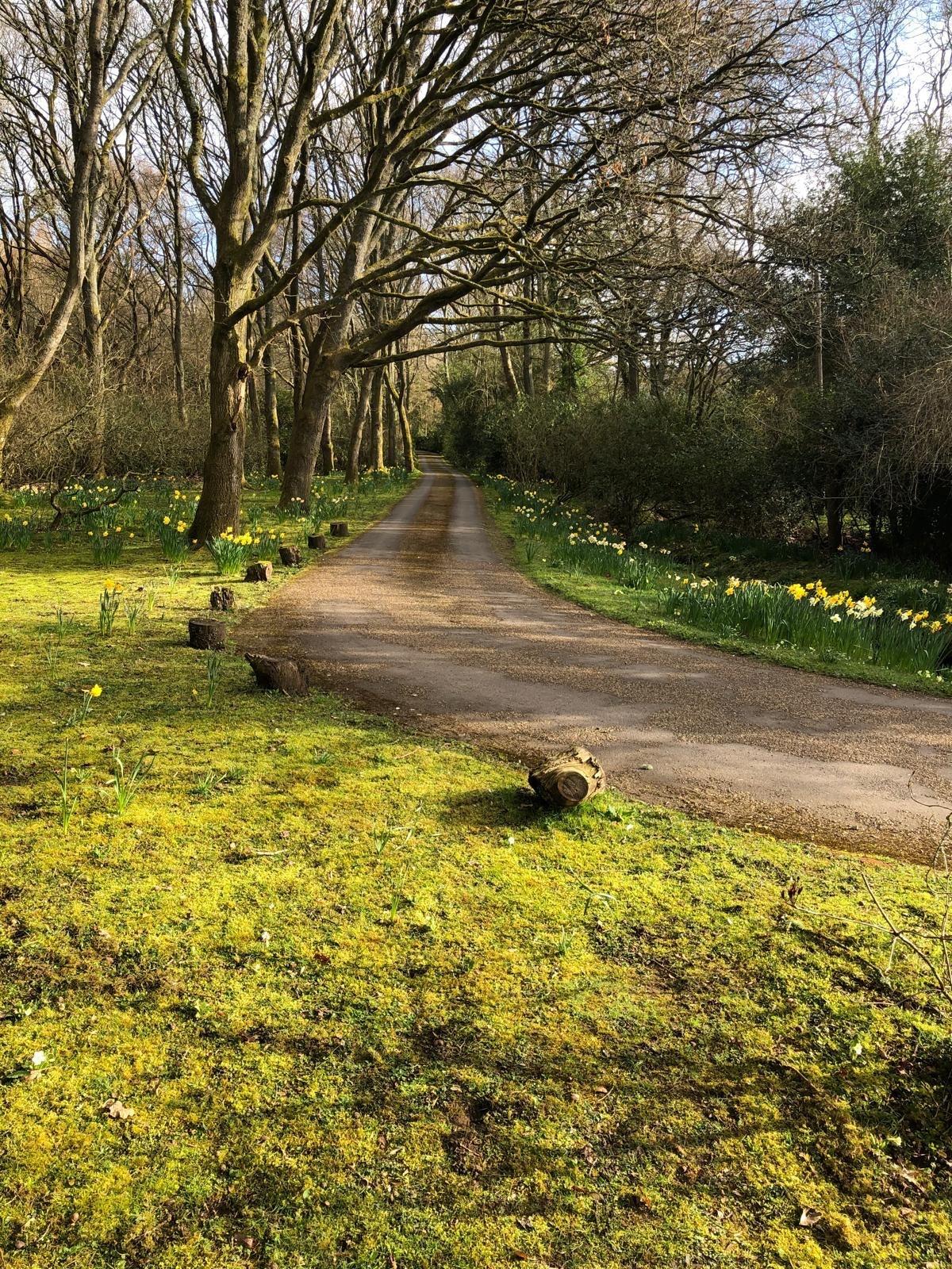 Smithwood Common, Cranleigh, Surrey, GU6 8QX.