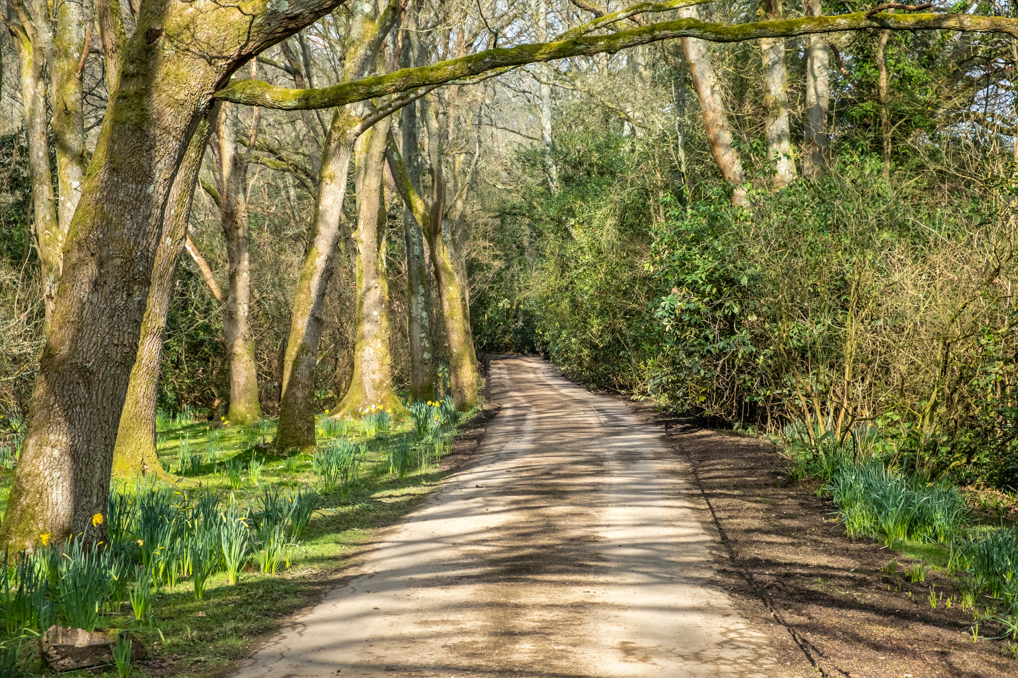 Smithwood Common, Cranleigh, Surrey, GU6 8QX.