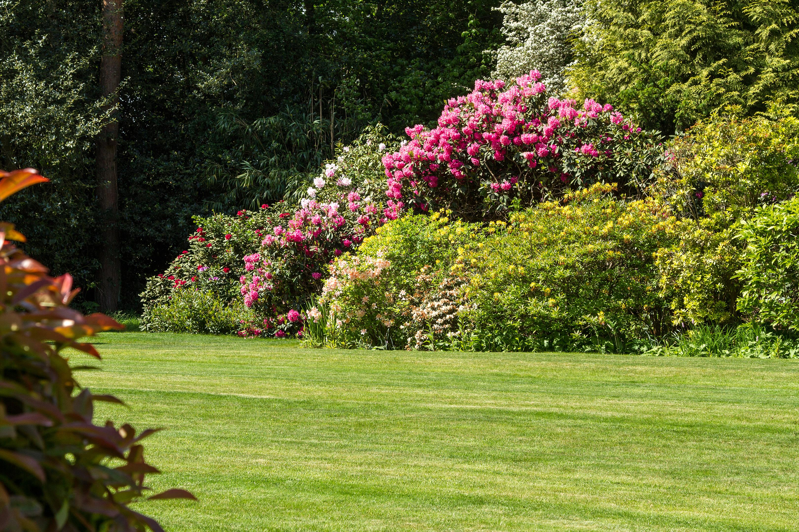 Seale Road, Elstead, Godalming, Surrey, GU8