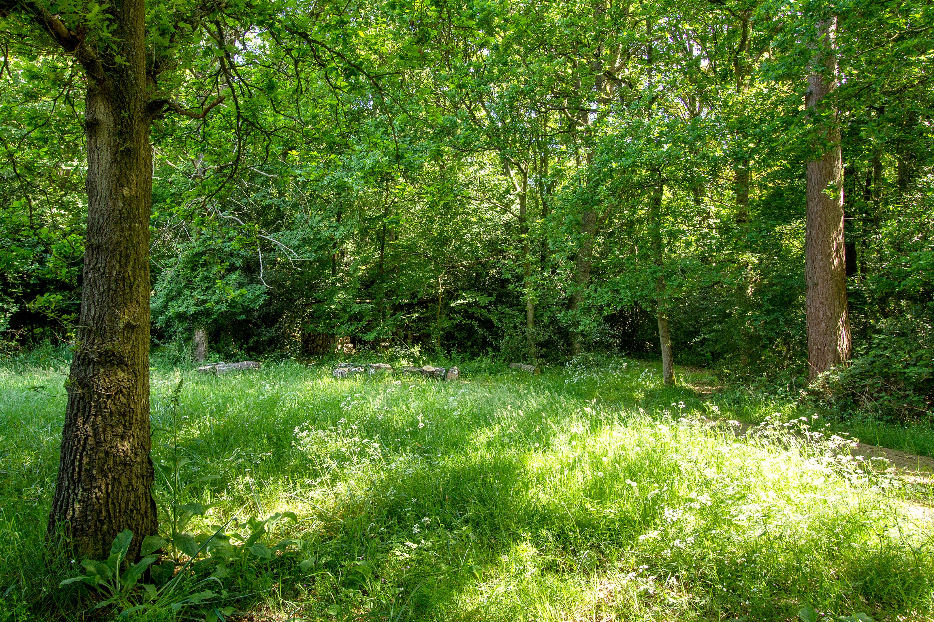 Seale Road, Elstead, Godalming, Surrey, GU8