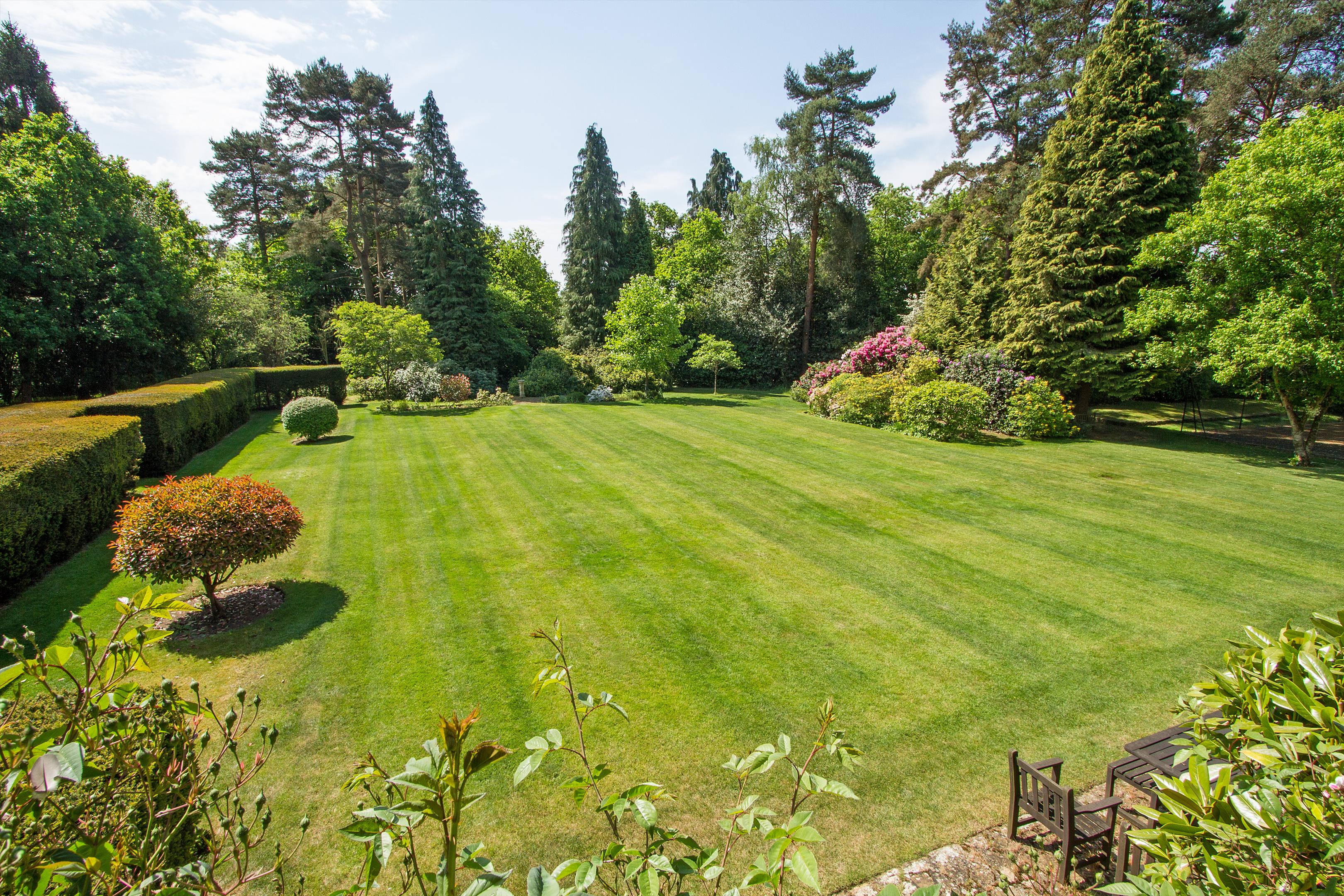 Seale Road, Elstead, Godalming, Surrey, GU8