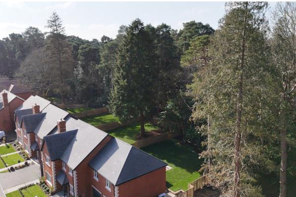 Westwood Grove, Swinley Road, Ascot SL5.