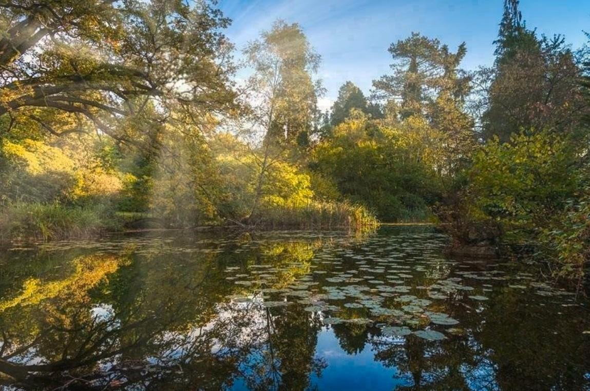 Larch Court, Sunningdale Park, Sunningdale, SL5