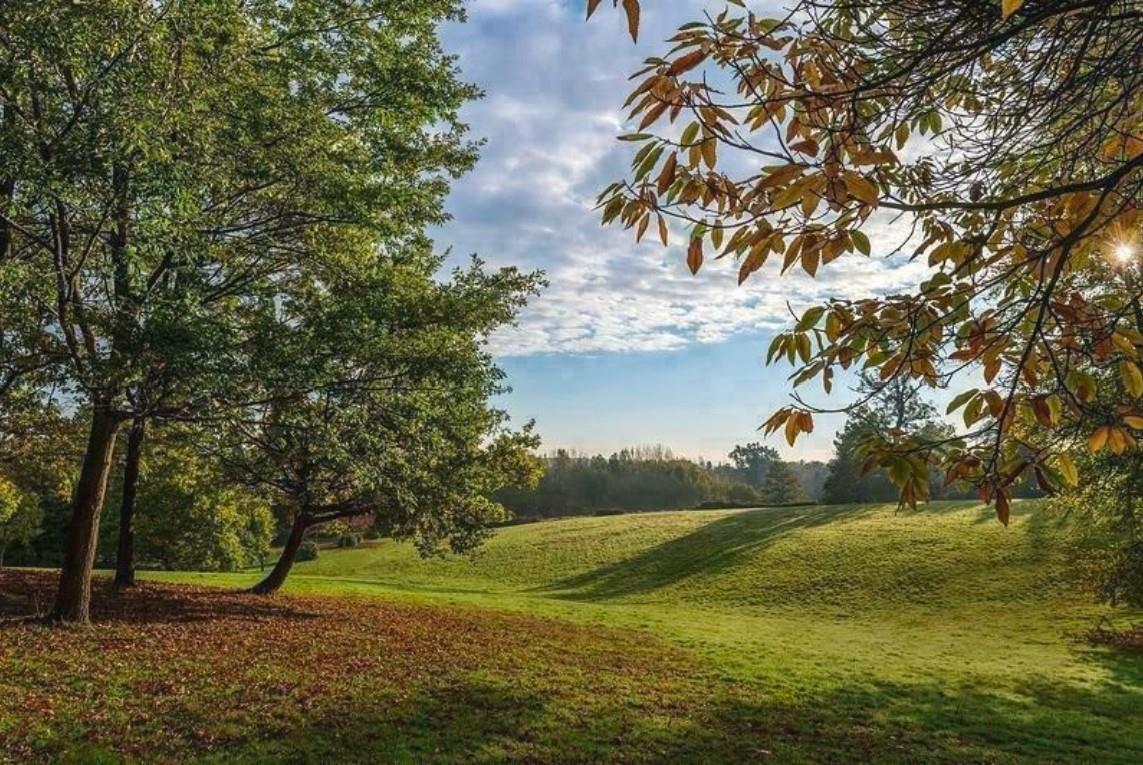 Larch Court, Sunningdale Park, Sunningdale, SL5