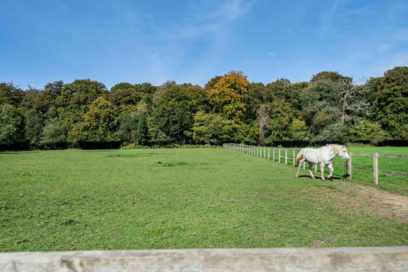 Neals Lane, Kingwood, Henley-on-Thames, Oxfordshire RG9
