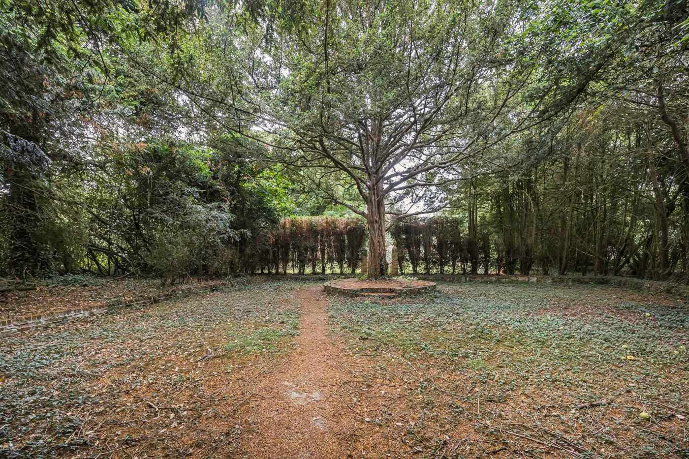 Goring Heath, Reading, Oxfordshire, RG8