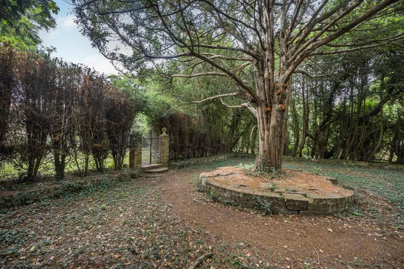 Goring Heath, Reading, Oxfordshire, RG8