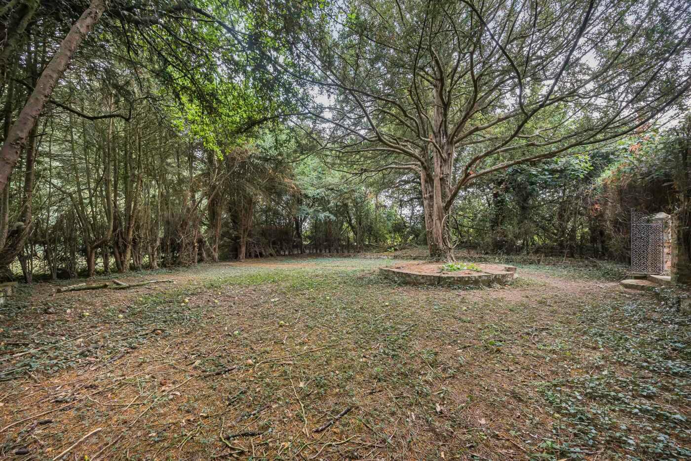 Goring Heath, Reading, Oxfordshire, RG8
