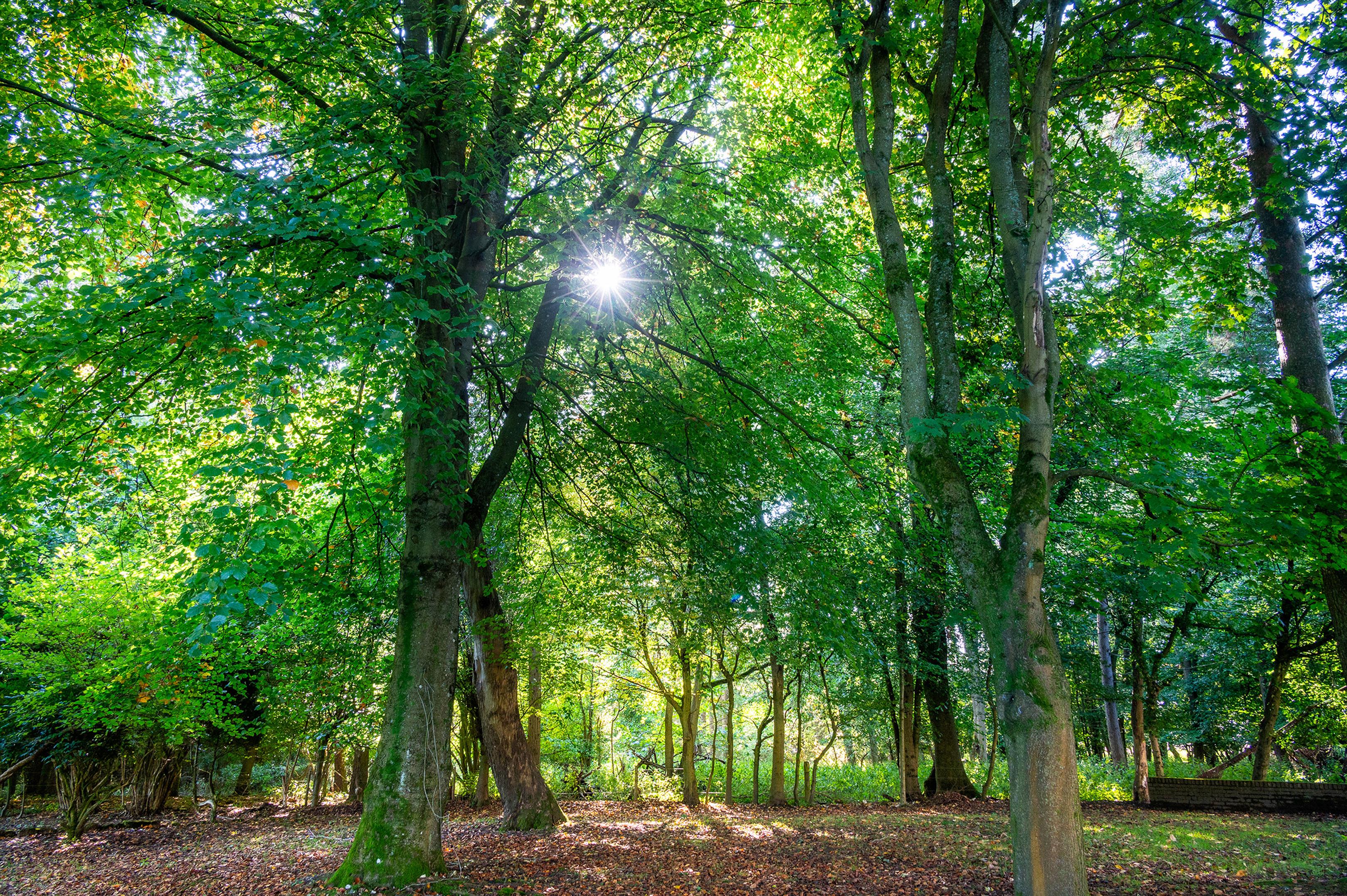 Hambleden, Henley-on-Thames, Buckinghamshire, RG9