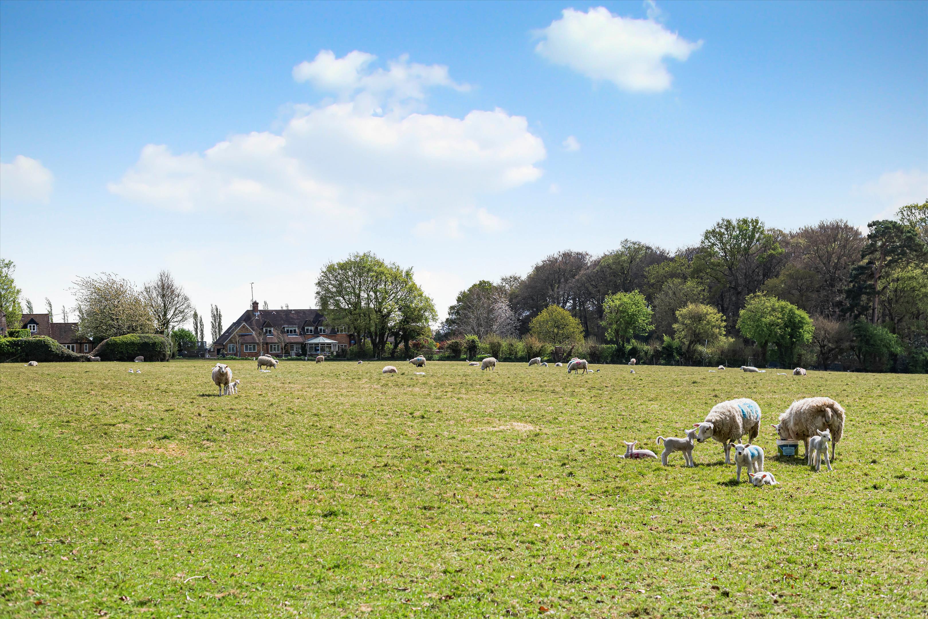 Rocky Lane, Rotherfield Greys, Henley-on-Thames, RG9