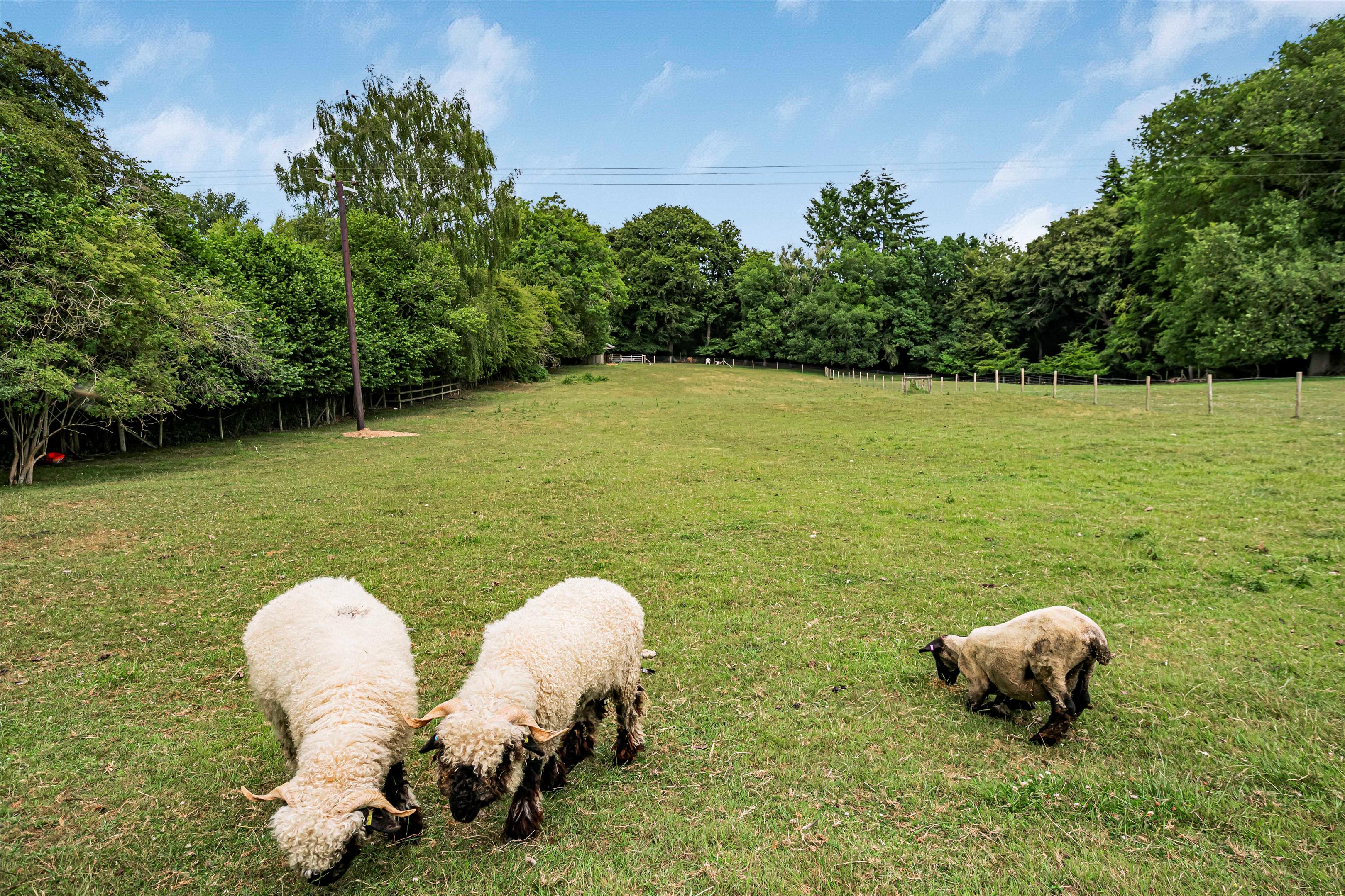 Whitehall Lane, Checkendon, Reading, Oxfordshire, RG8