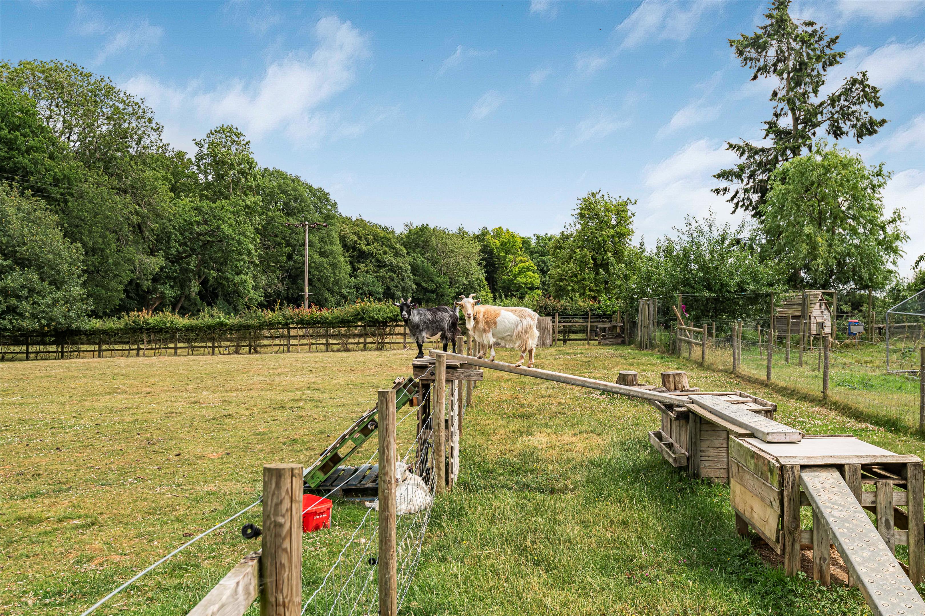 Whitehall Lane, Checkendon, Reading, Oxfordshire, RG8