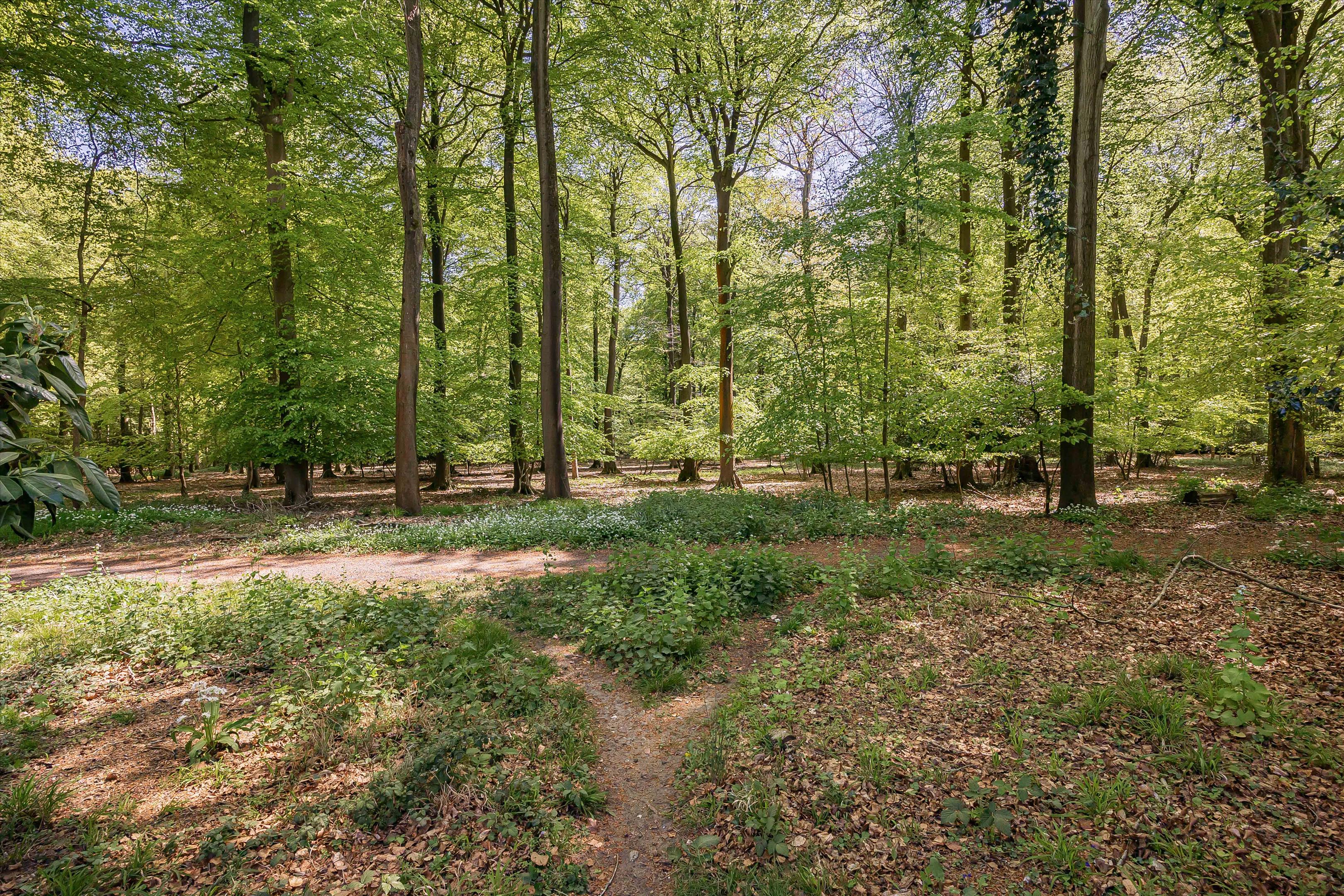 Hazel Grove, Kingwood, Henley-on-Thames, Oxfordshire RG9