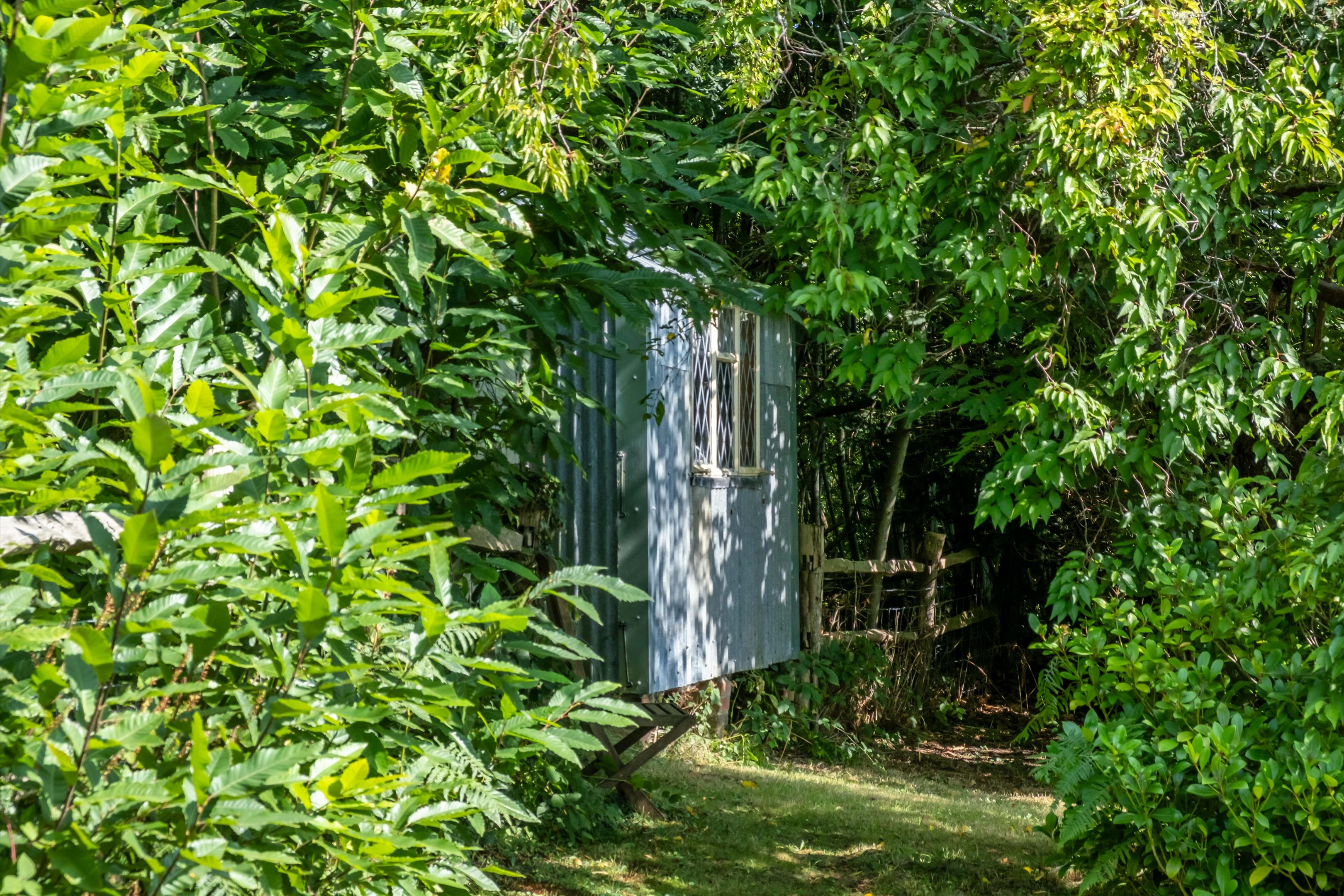 Hollycombe Lane, Linch, West Sussex, GU30