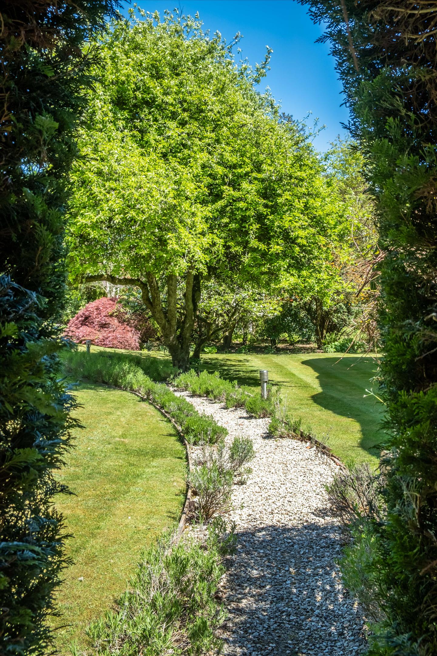 Weydown Road, Haslemere, Surrey GU27