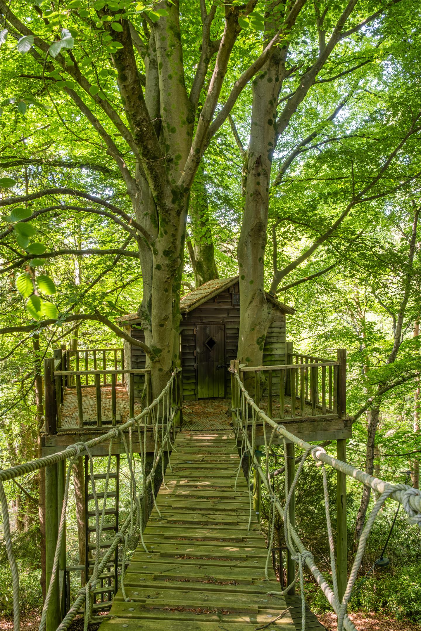 London Road, Petersfield, Hampshire, GU31