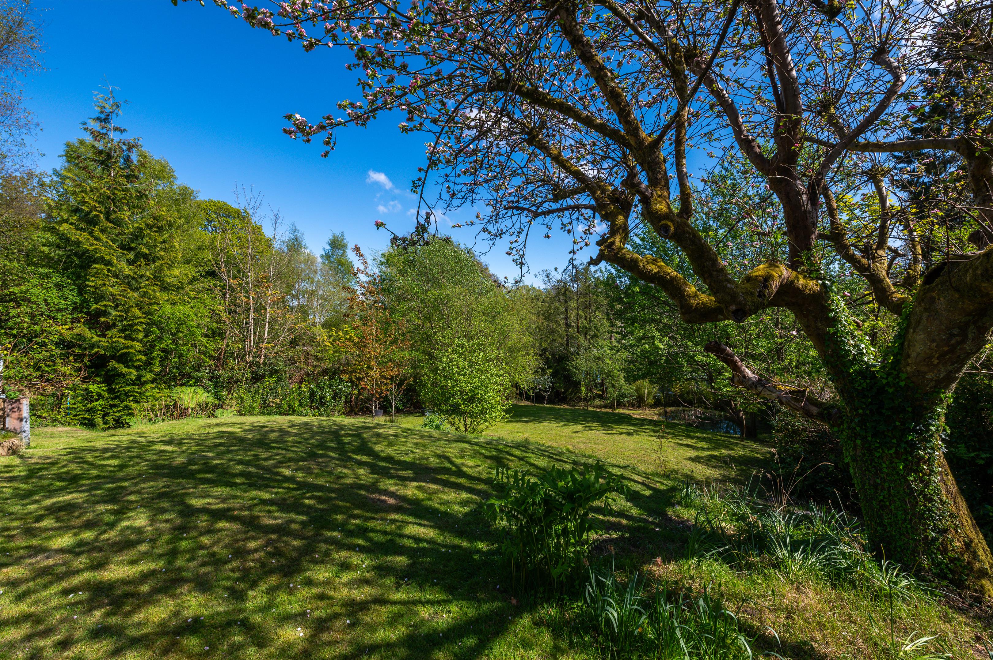 Derby Road, Haslemere, Surrey, GU27