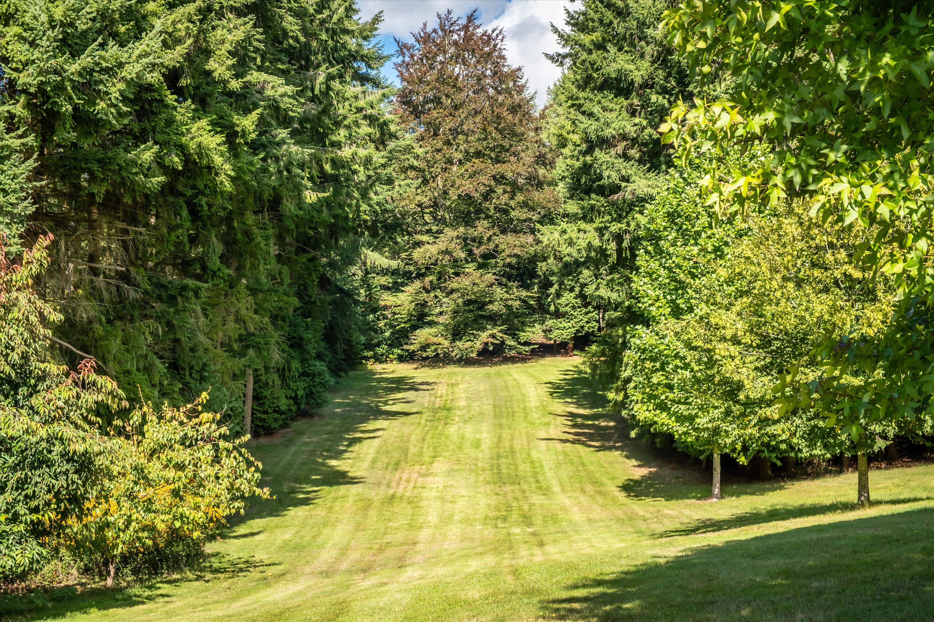 The Hanger, Headley, Hampshire, GU35