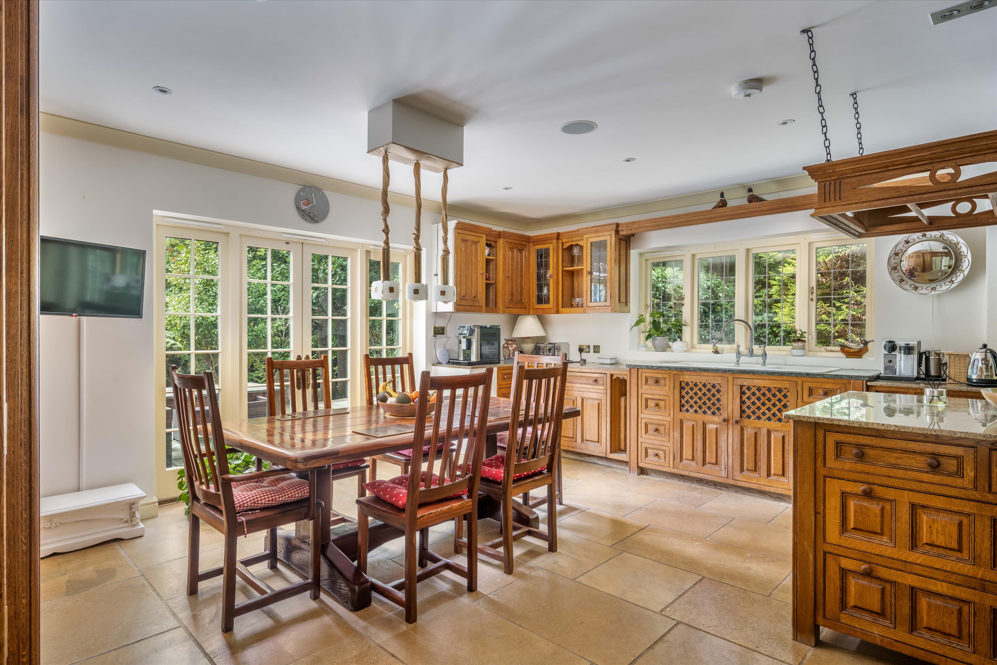 Upper Durford Wood, Petersfield, West Sussex, GU31
