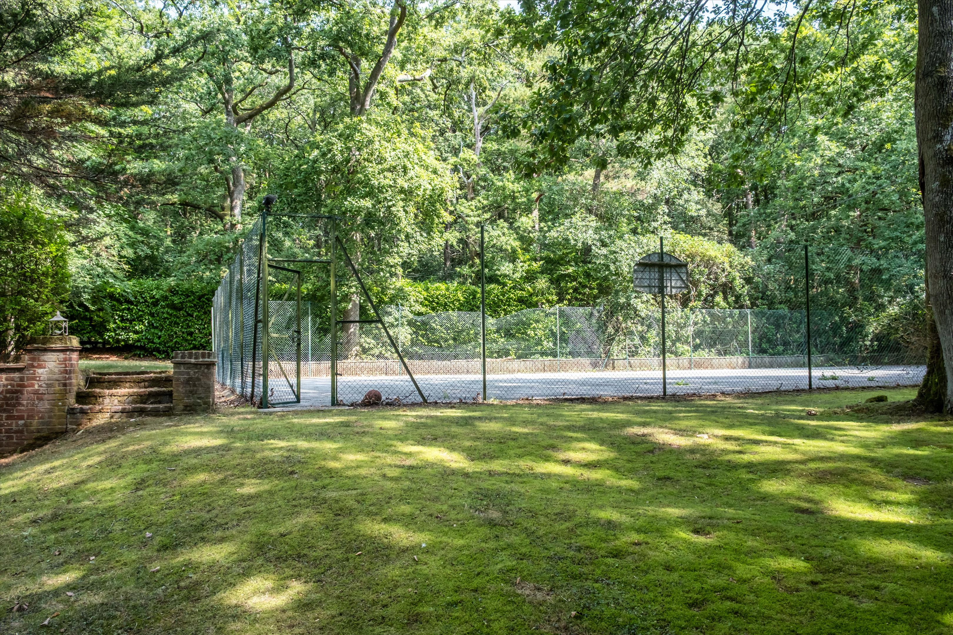 Upper Durford Wood, Petersfield, West Sussex, GU31