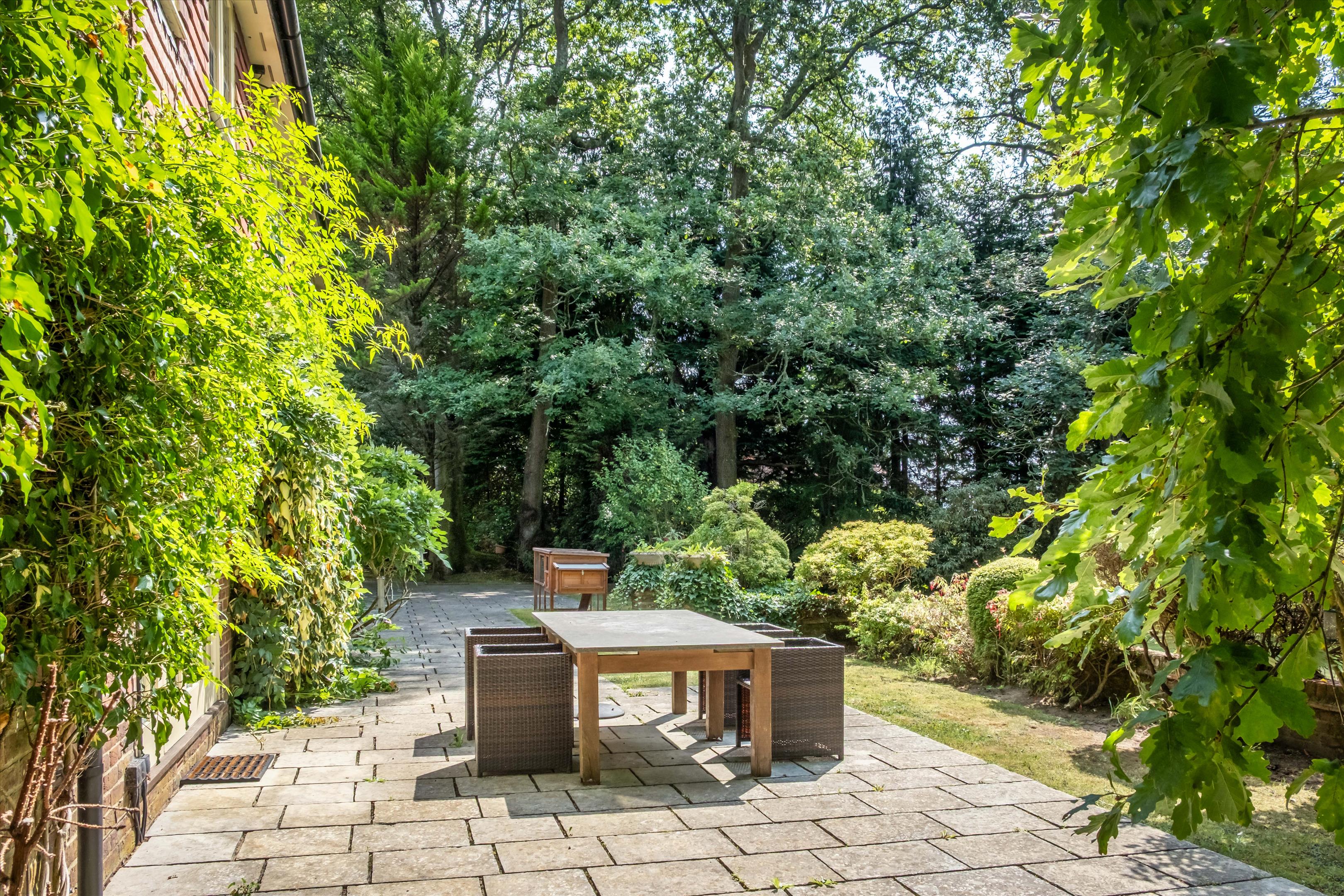 Upper Durford Wood, Petersfield, West Sussex, GU31