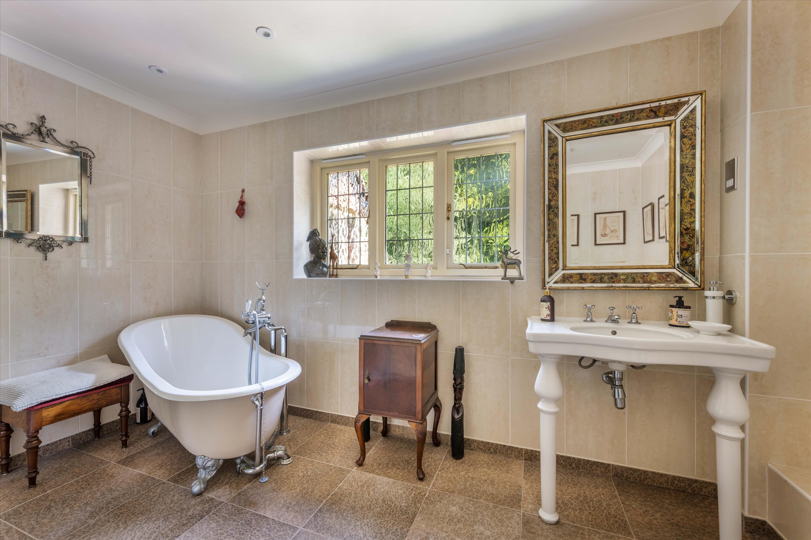 Upper Durford Wood, Petersfield, West Sussex, GU31