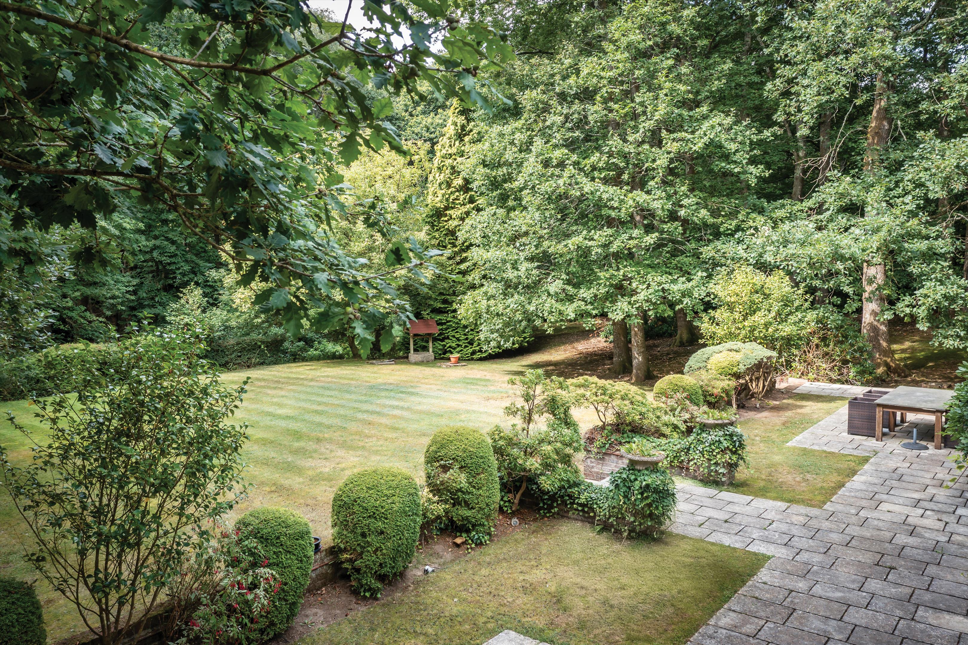 Upper Durford Wood, Petersfield, West Sussex, GU31