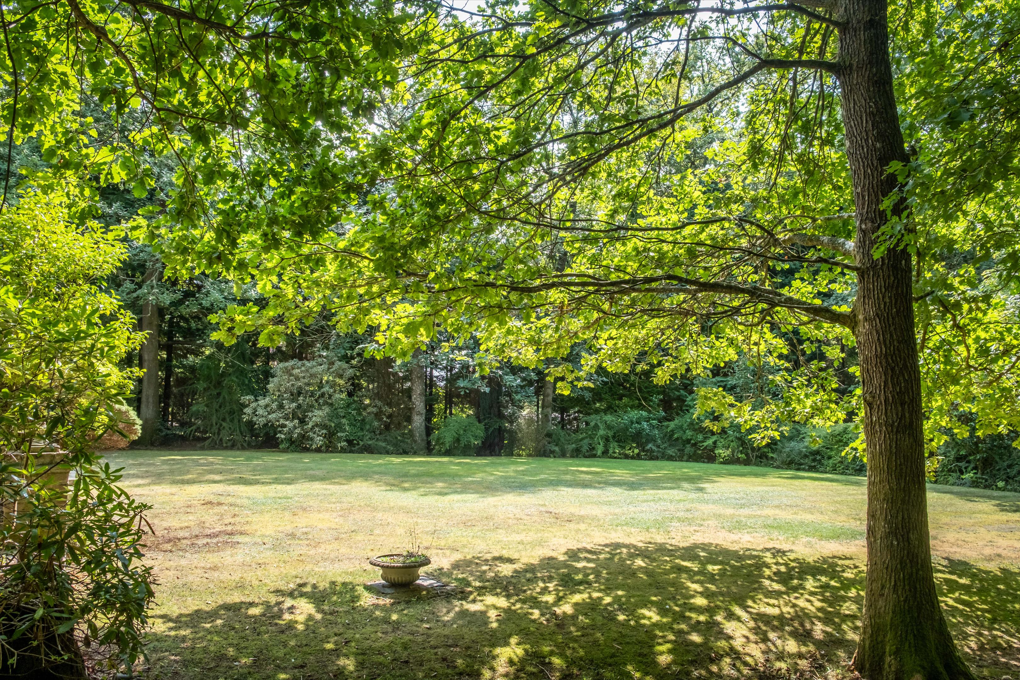 Upper Durford Wood, Petersfield, West Sussex, GU31
