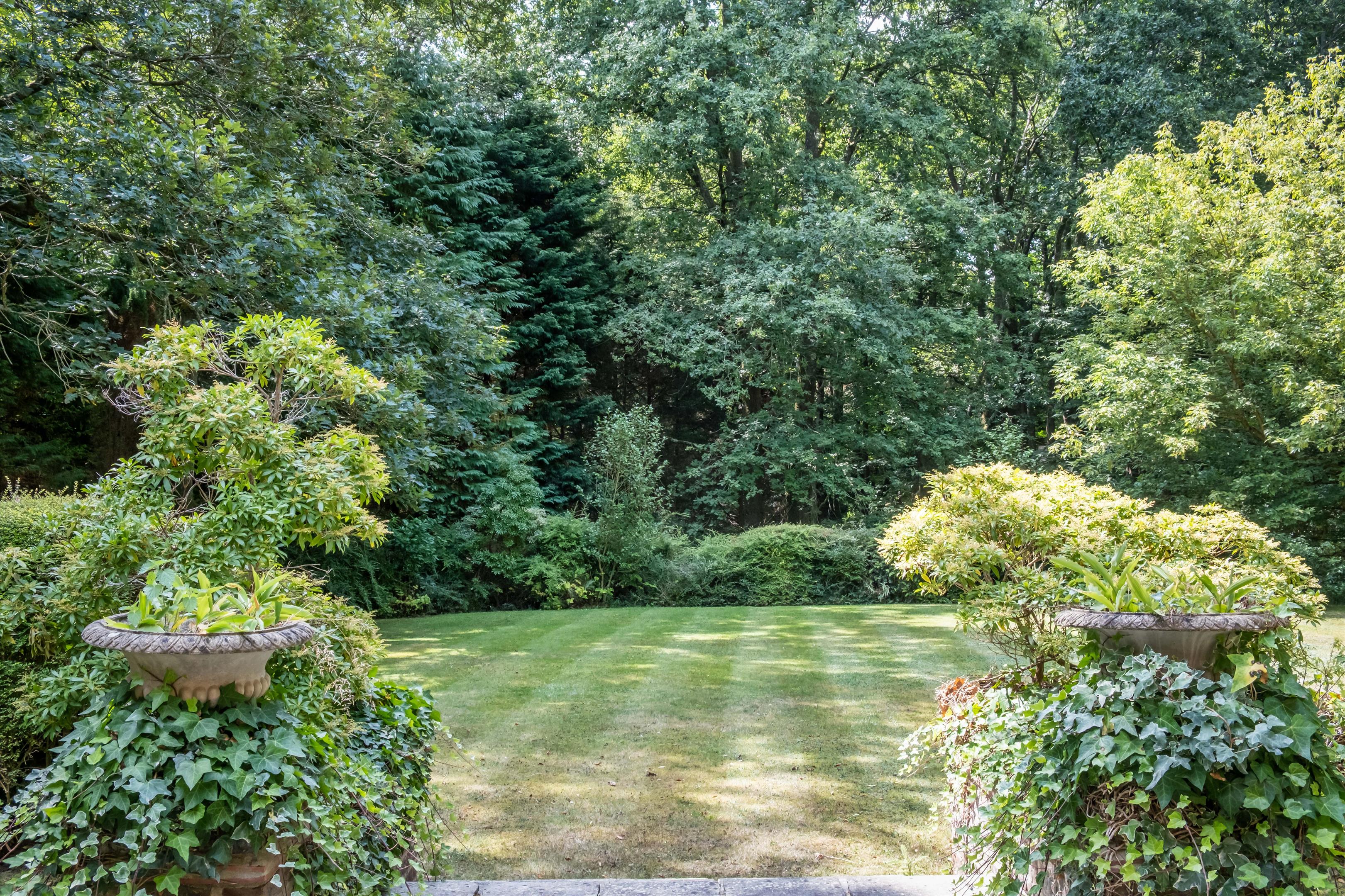 Upper Durford Wood, Petersfield, West Sussex, GU31