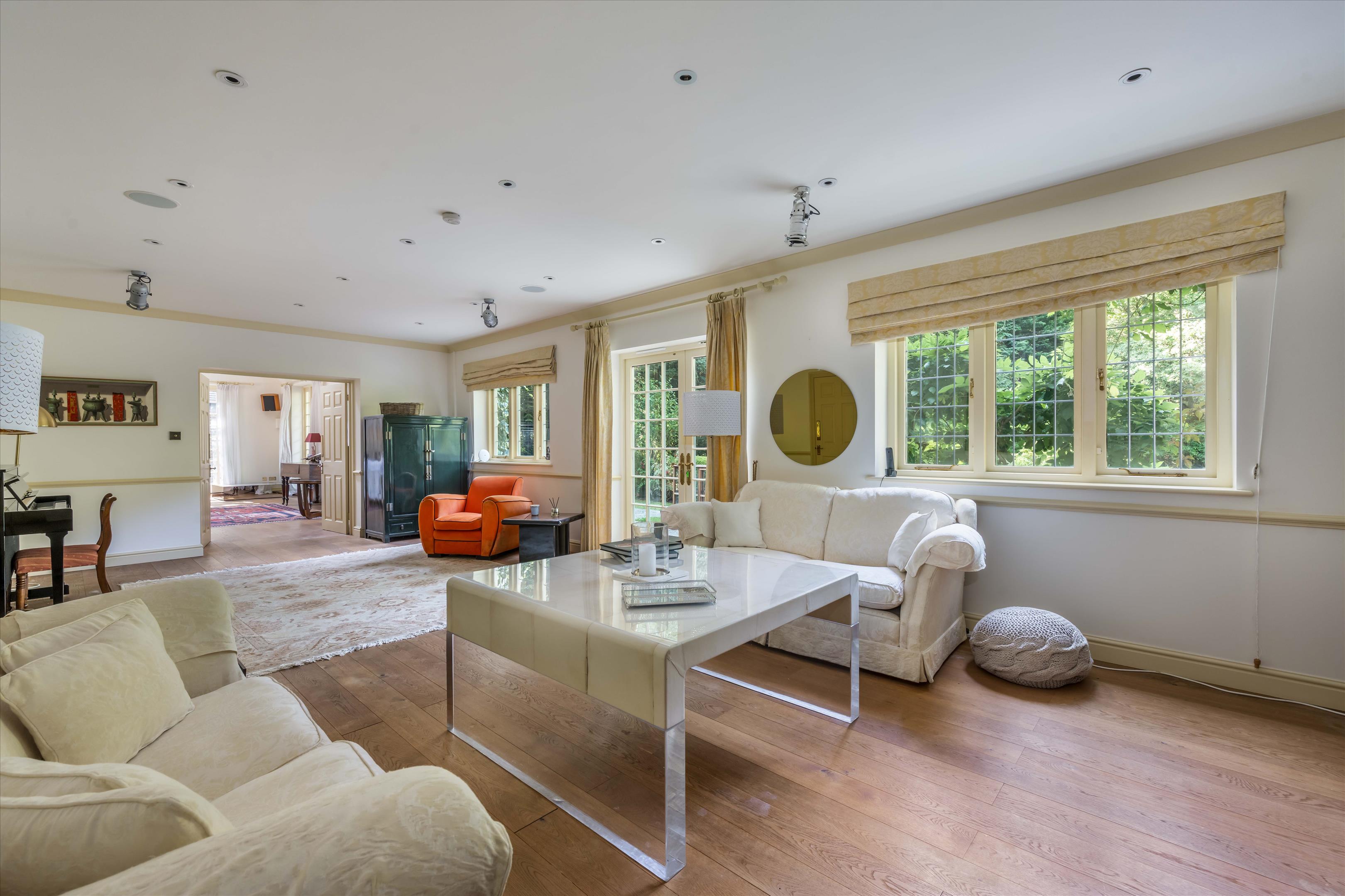 Upper Durford Wood, Petersfield, West Sussex, GU31