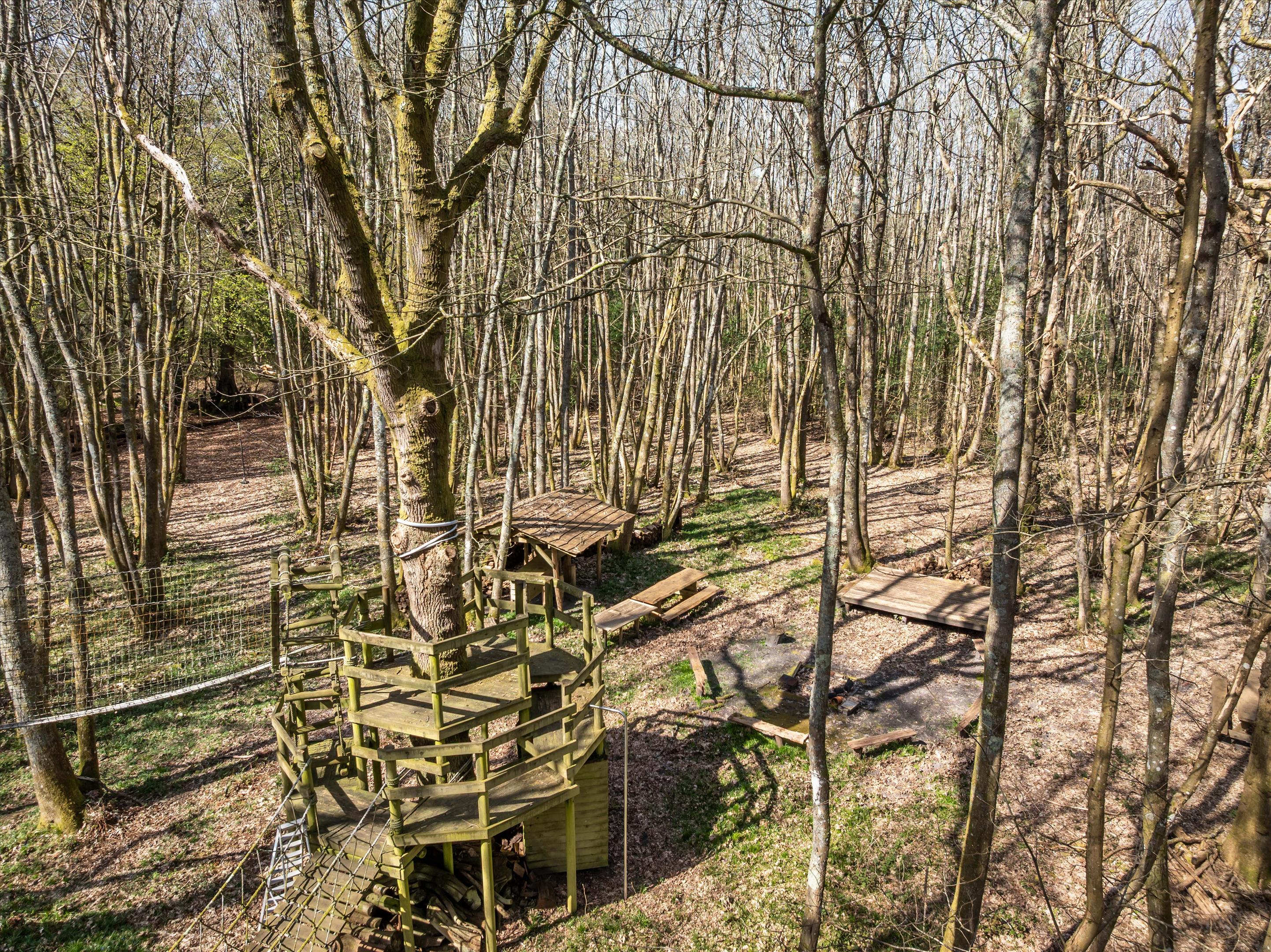 Linchmere Ridge, Haslemere, Surrey GU27