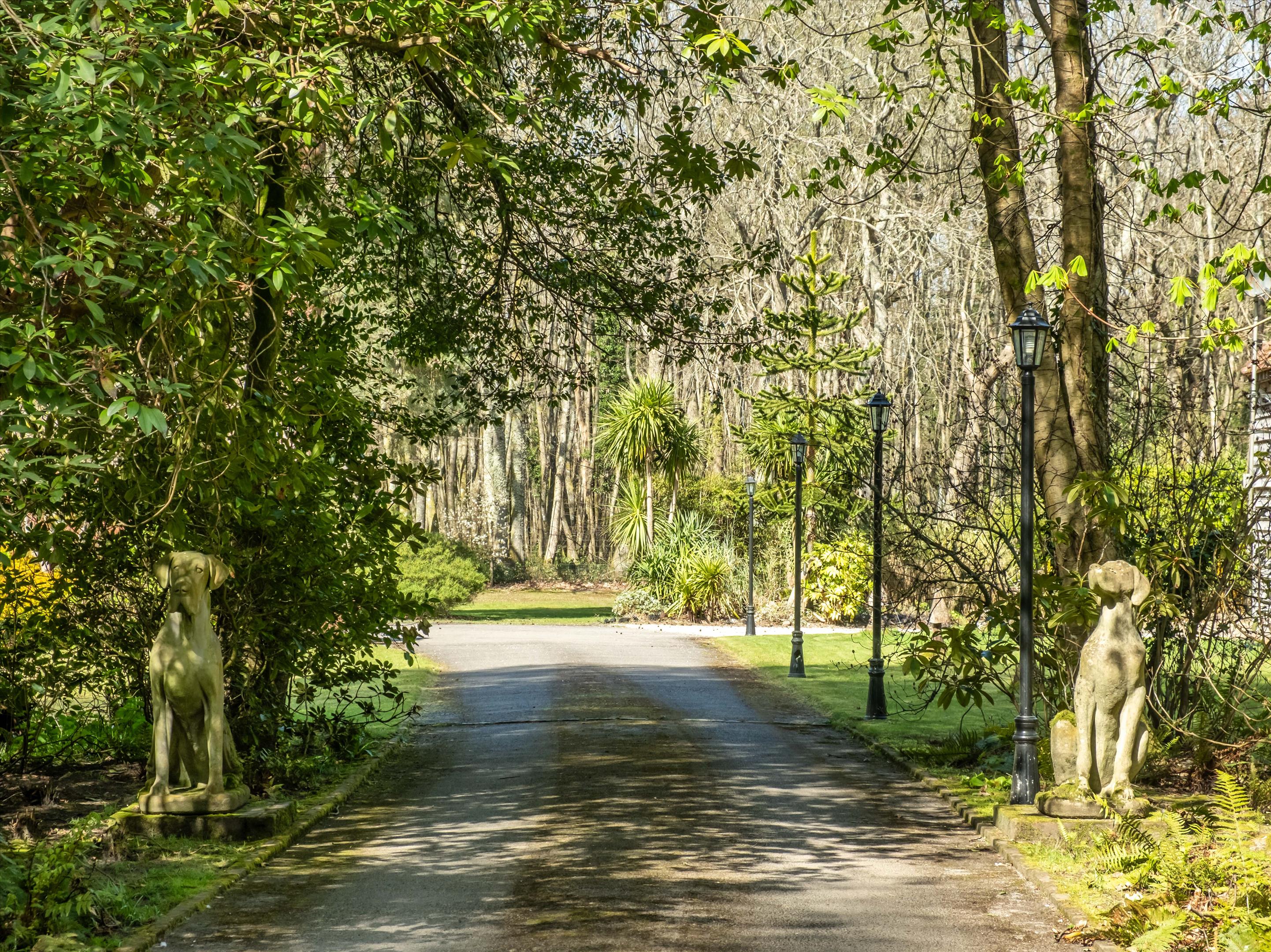 Linchmere Ridge, Haslemere, Surrey GU27