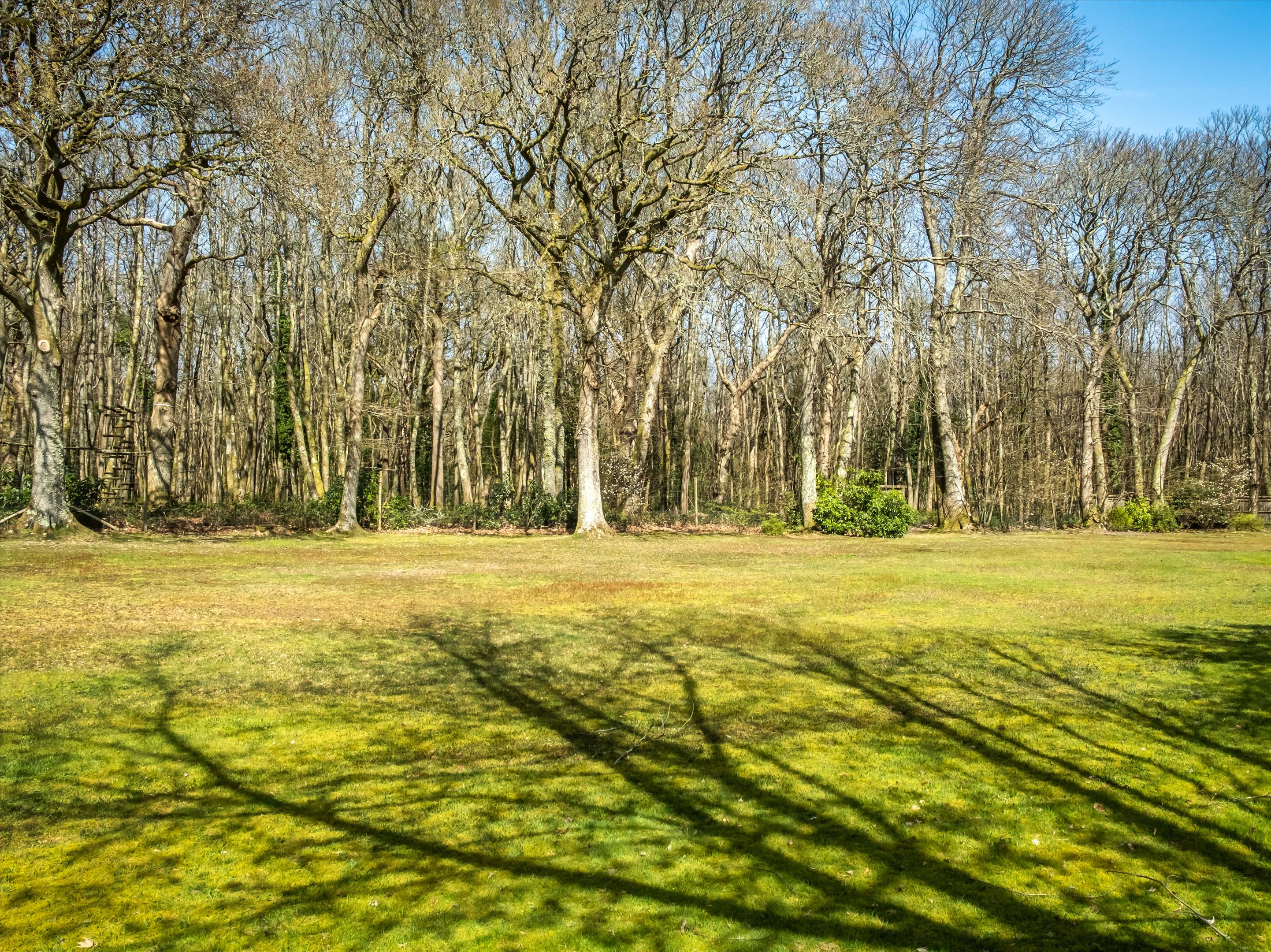 Linchmere Ridge, Haslemere, Surrey GU27