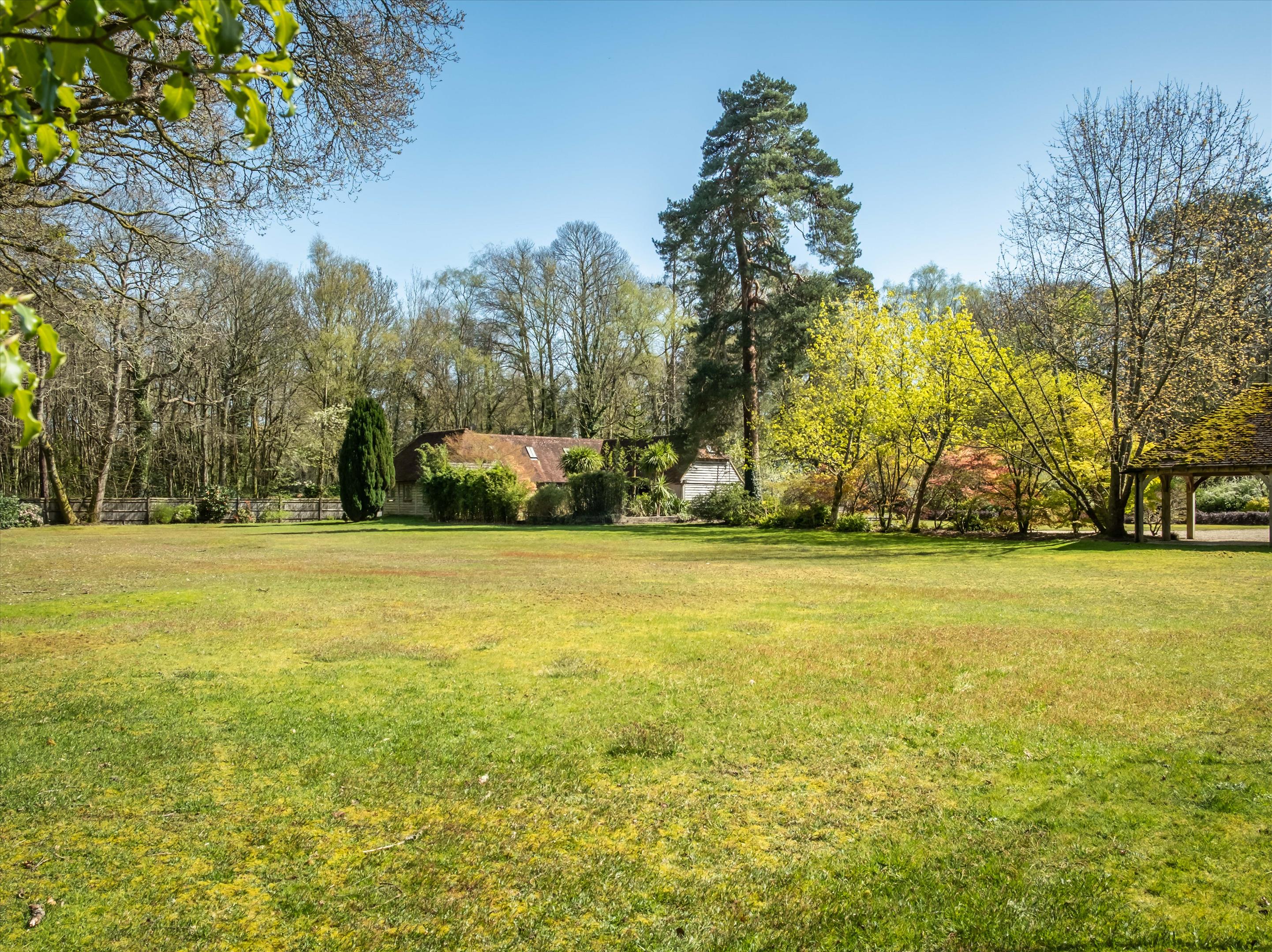 Linchmere Ridge, Haslemere, Surrey GU27