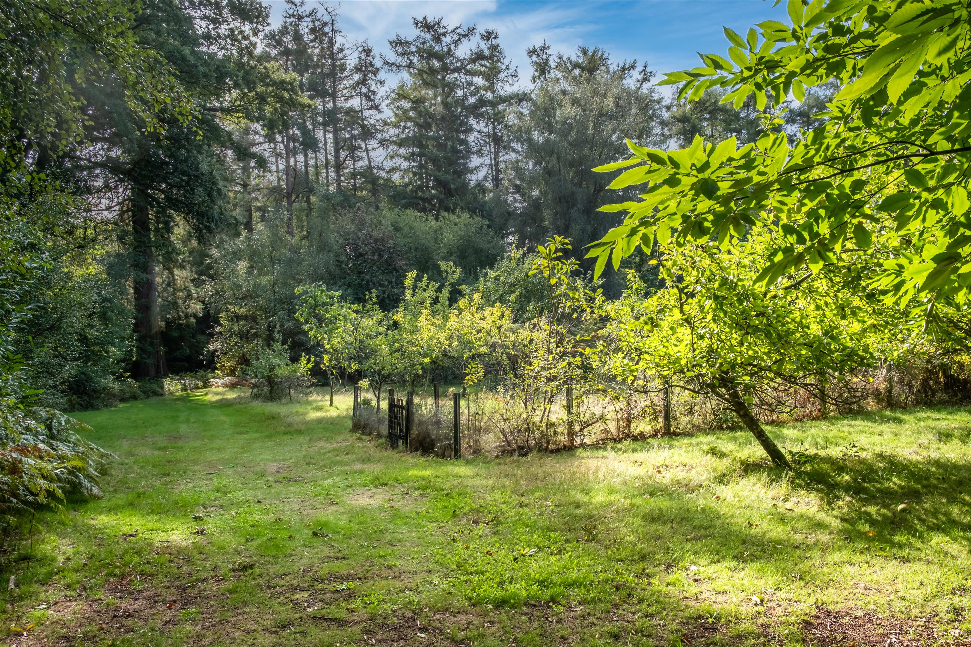 Tennysons Ridge, Haslemere, Surrey GU27