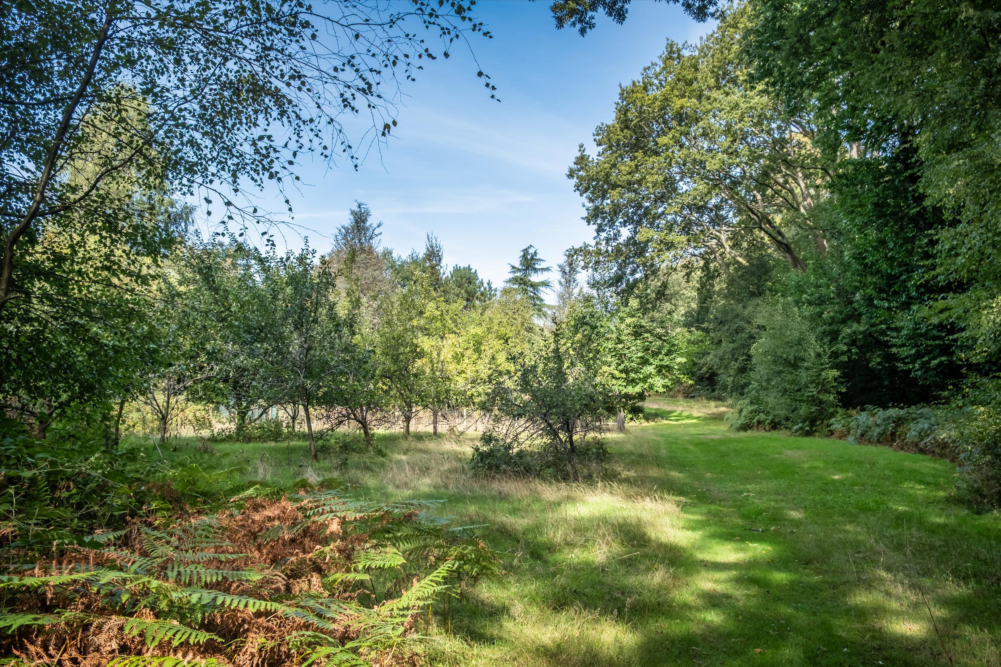 Tennysons Ridge, Haslemere, Surrey GU27