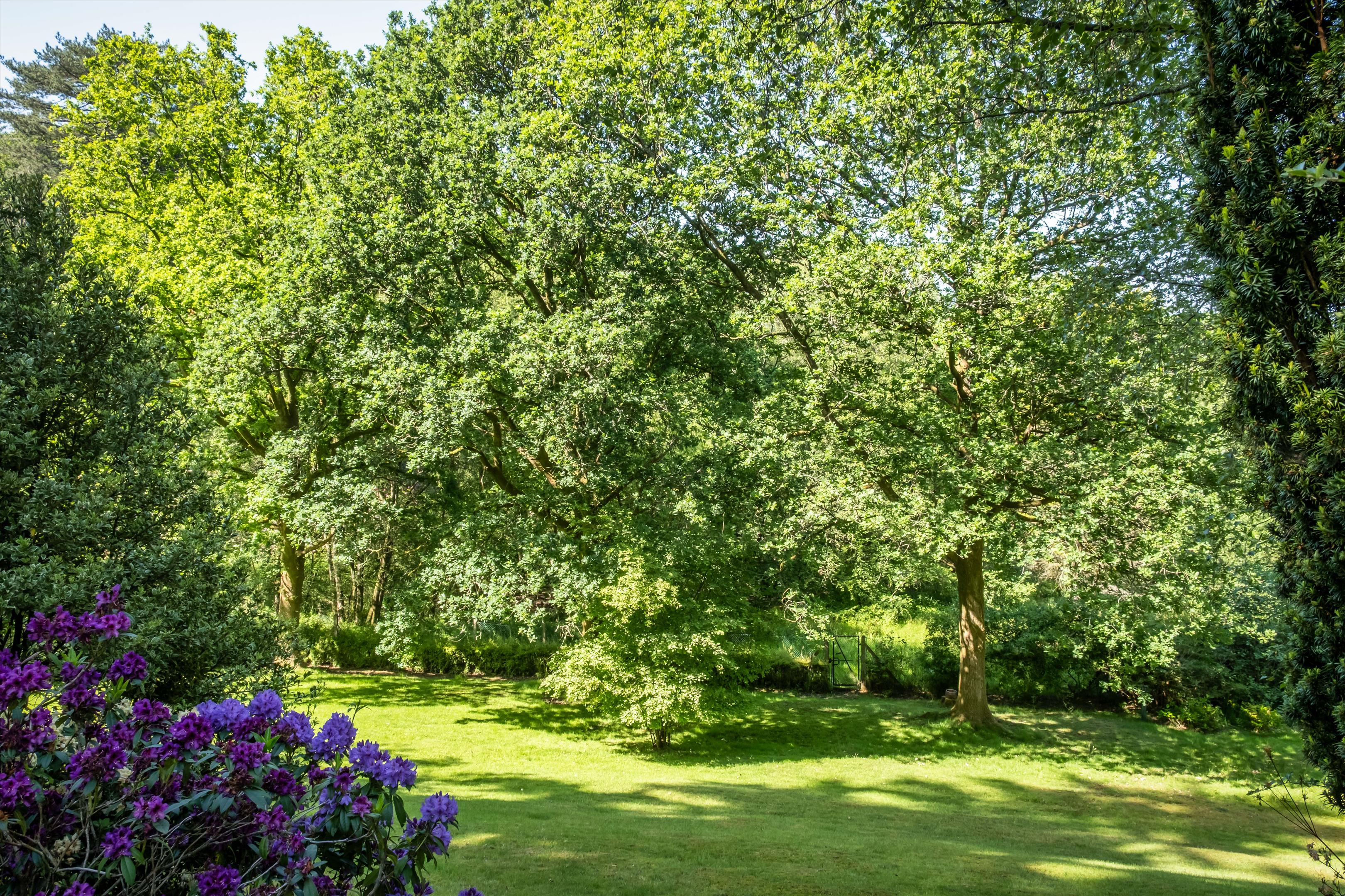 Petworth Road, Haslemere, Surrey GU27