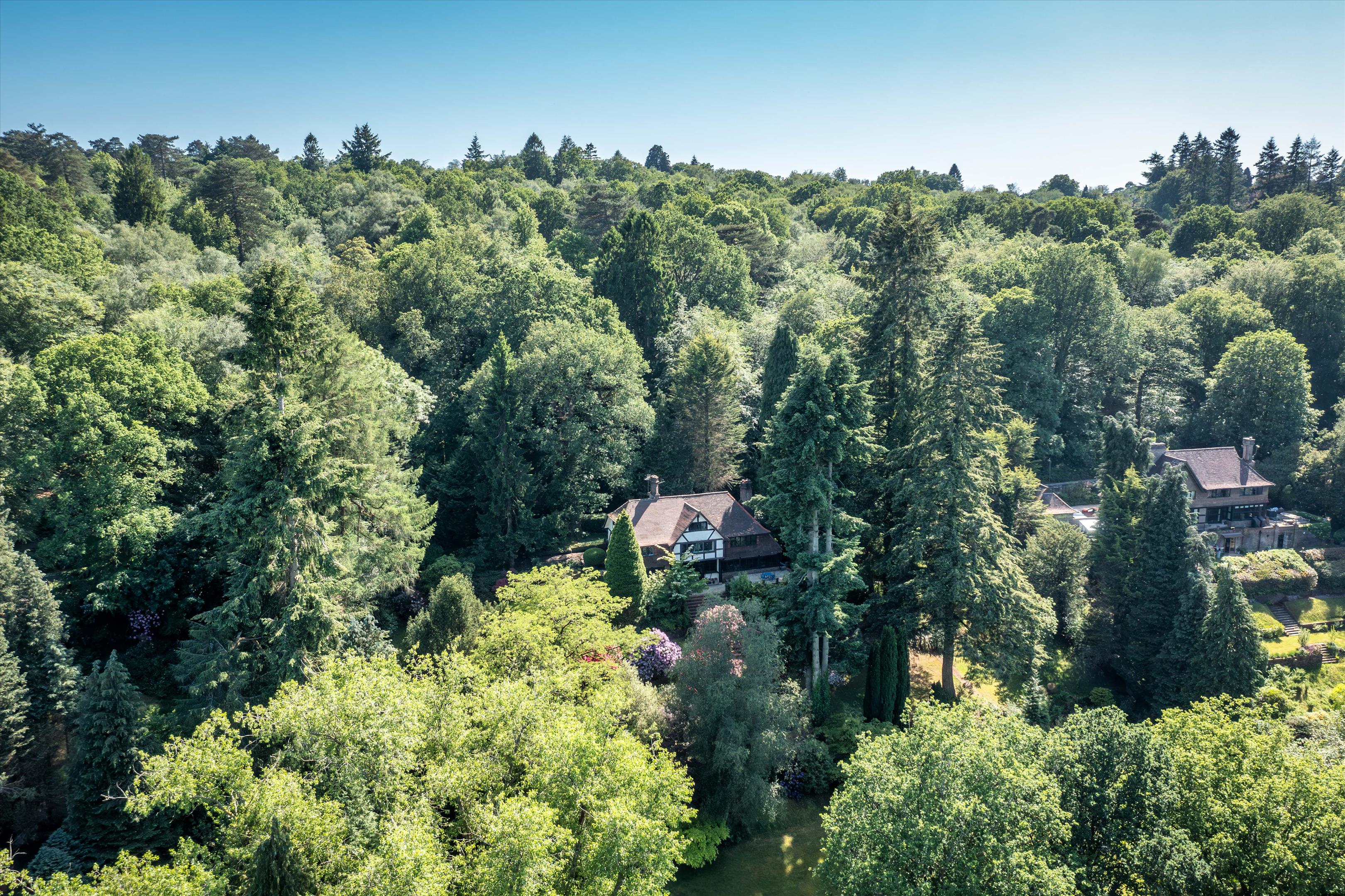 Petworth Road, Haslemere, Surrey GU27