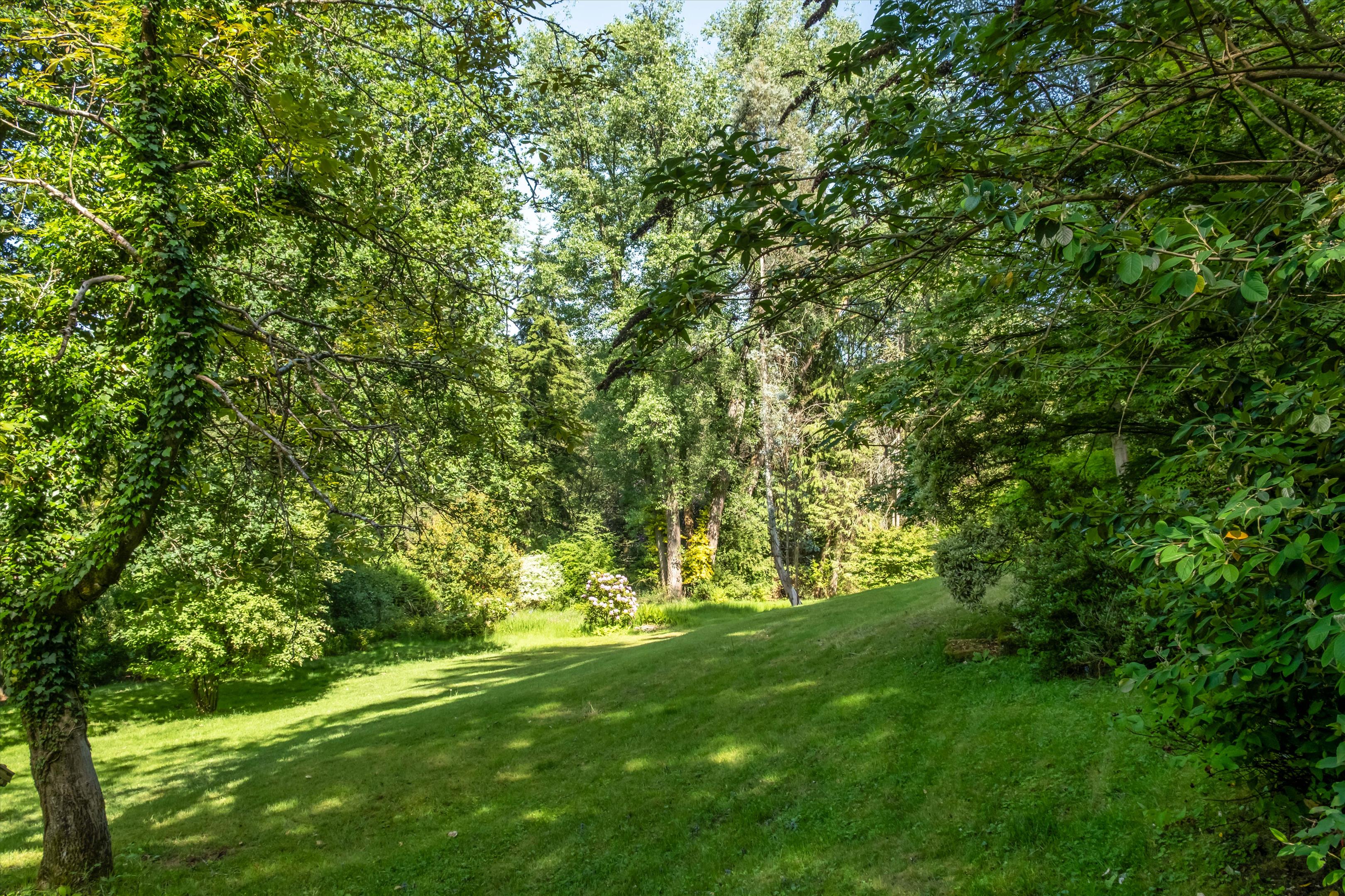 Petworth Road, Haslemere, Surrey GU27