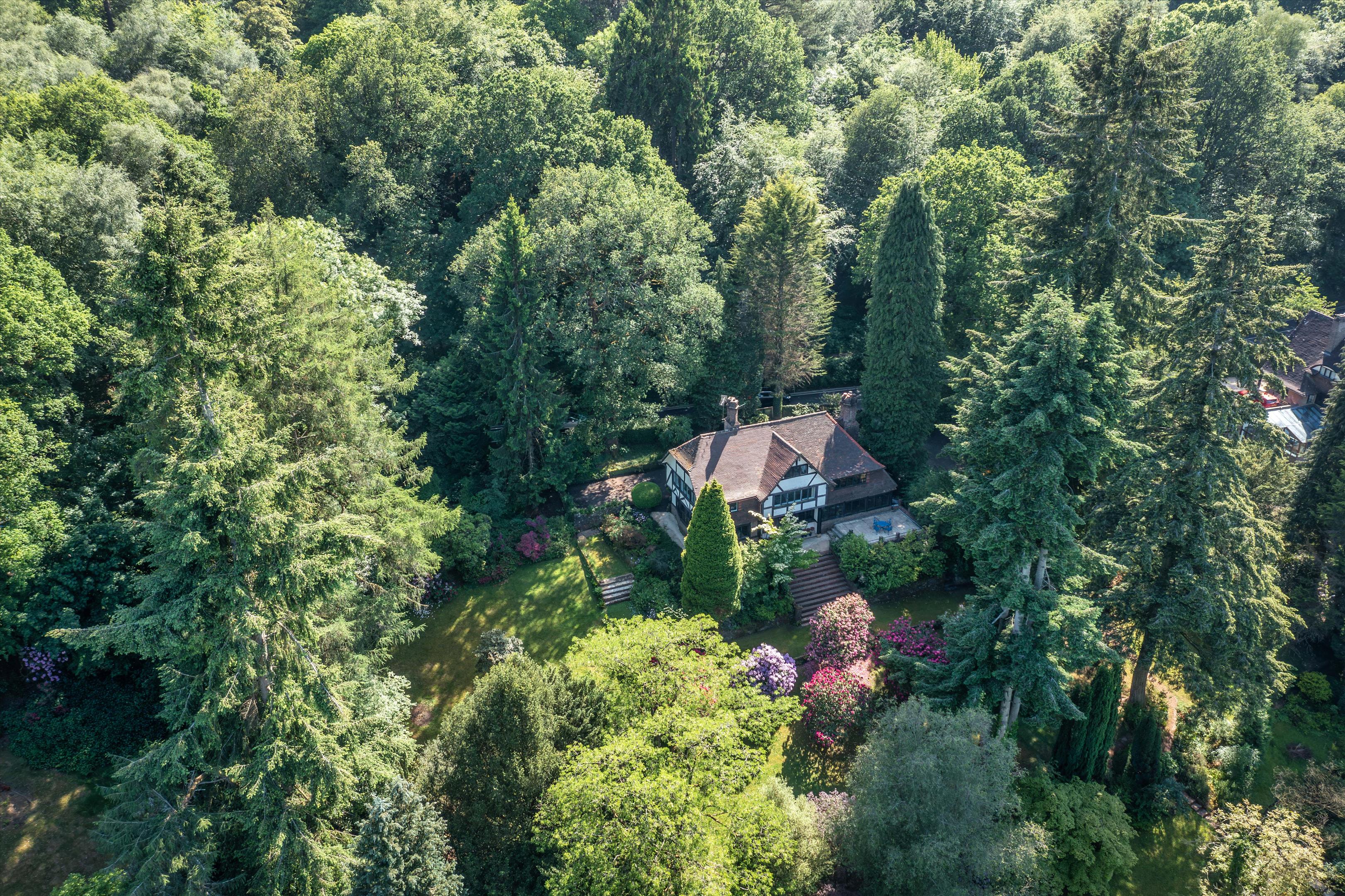 Petworth Road, Haslemere, Surrey GU27
