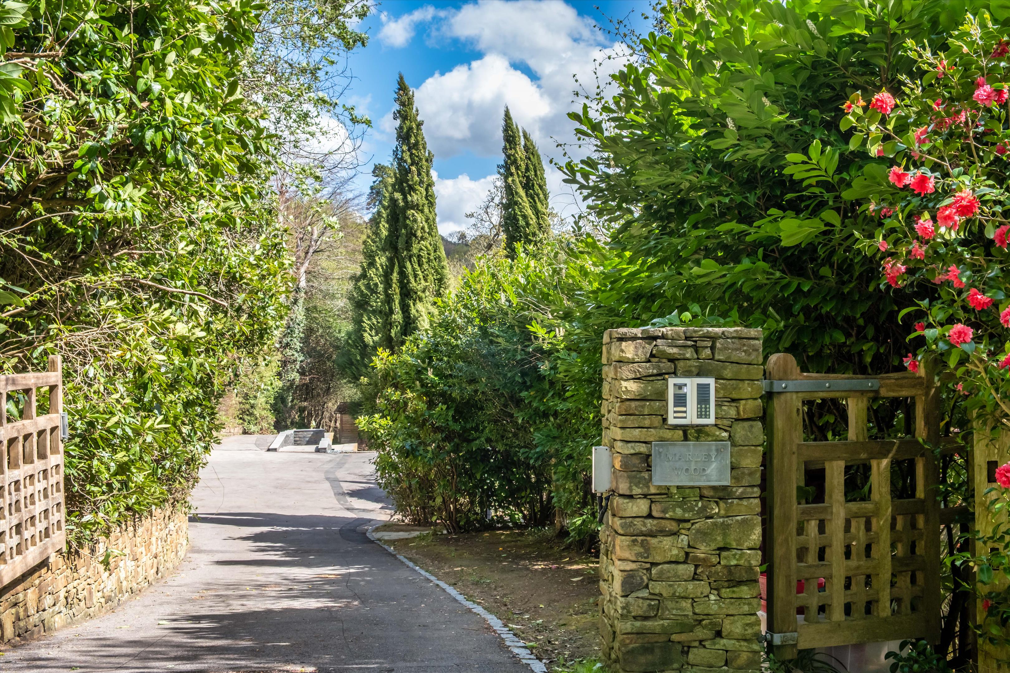 Marley Common, Haslemere, Surrey, GU27