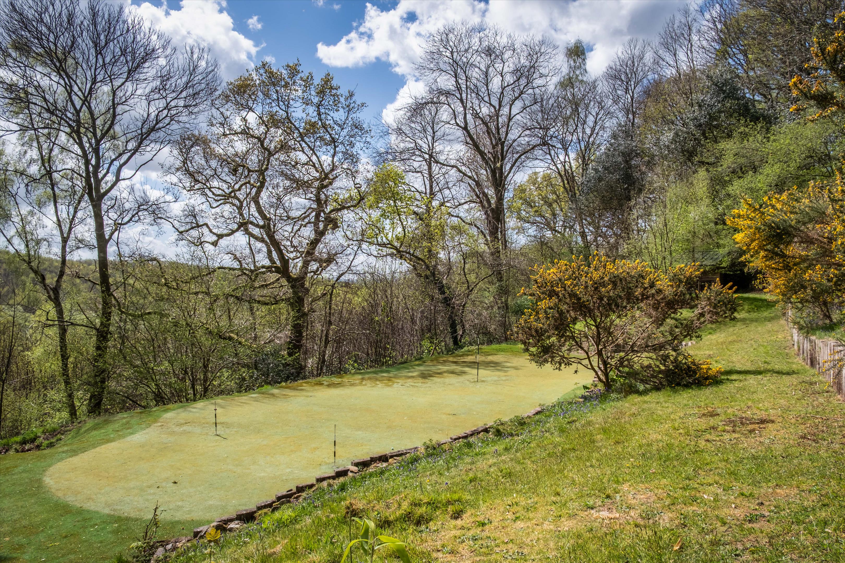 Marley Common, Haslemere, Surrey, GU27