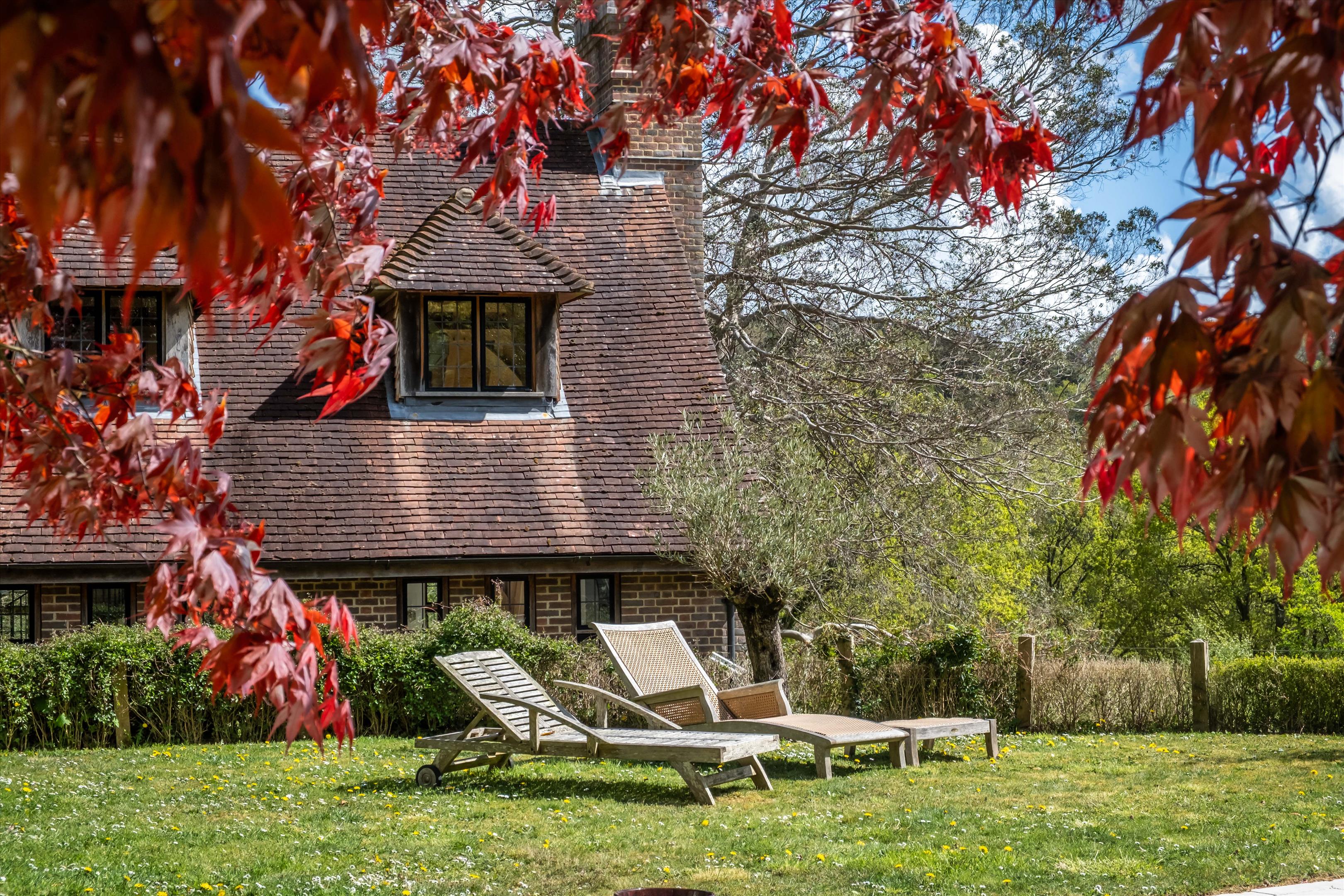 Marley Common, Haslemere, Surrey, GU27