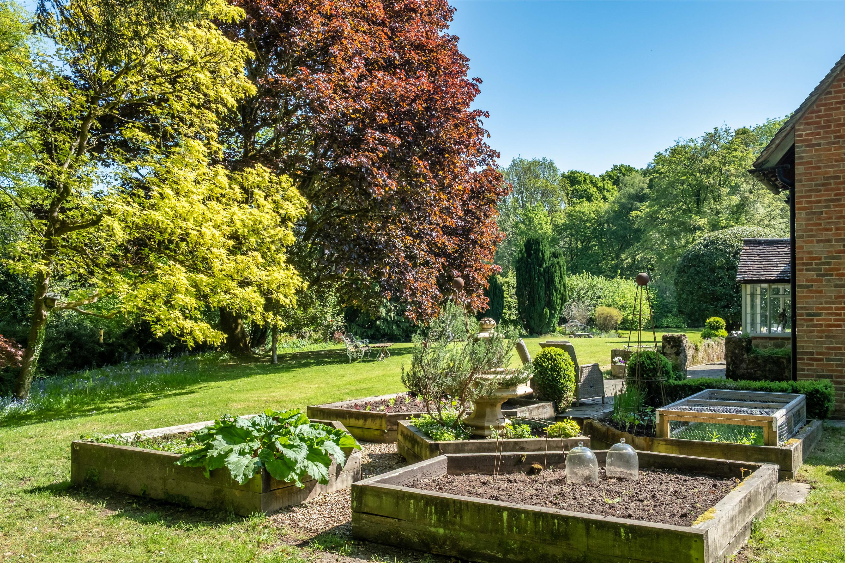 Henley Common, Henley, Haslemere, West Sussex, GU27