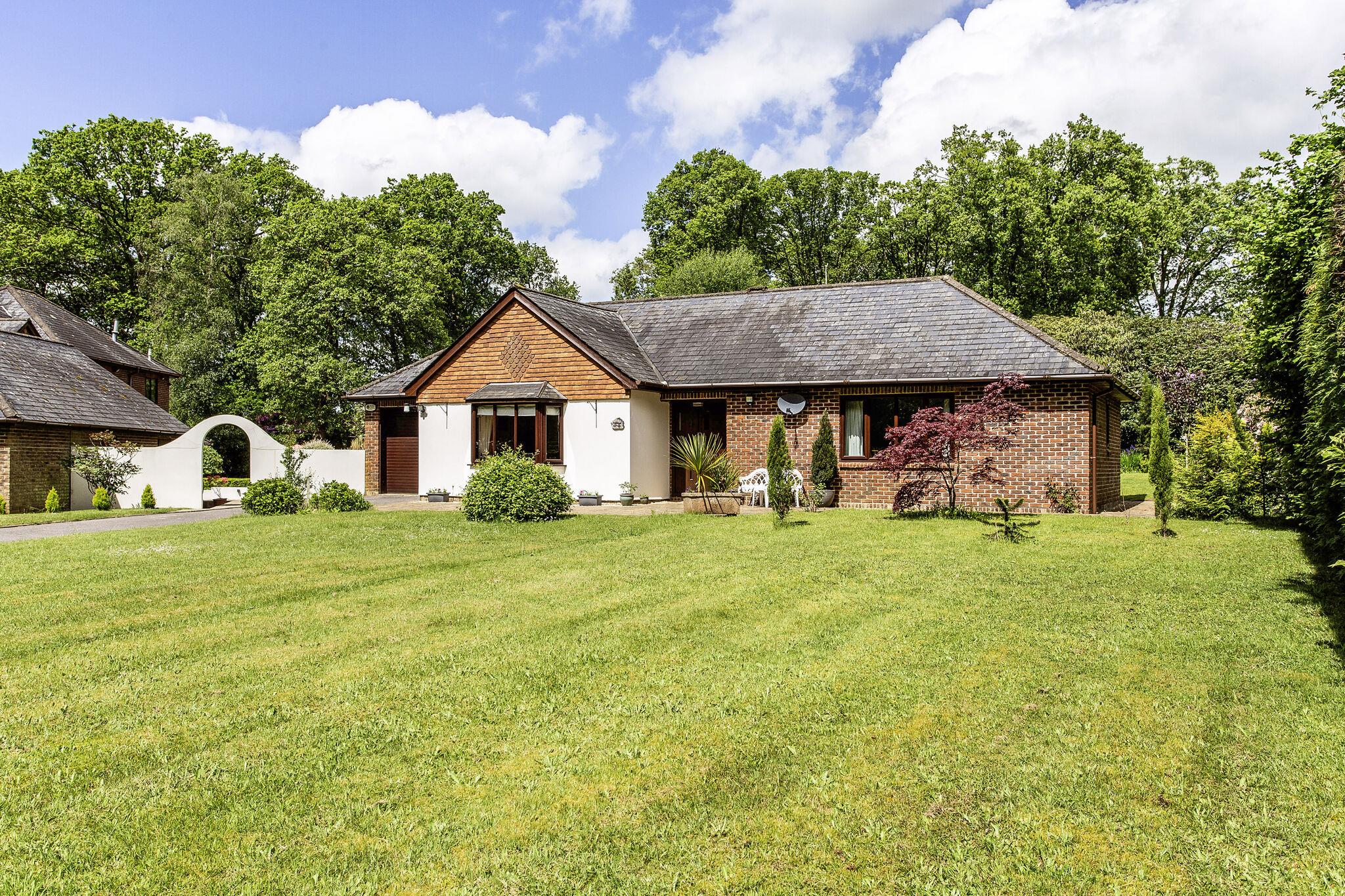 Upper Durford Wood, Petersfield, West Sussex, GU31.